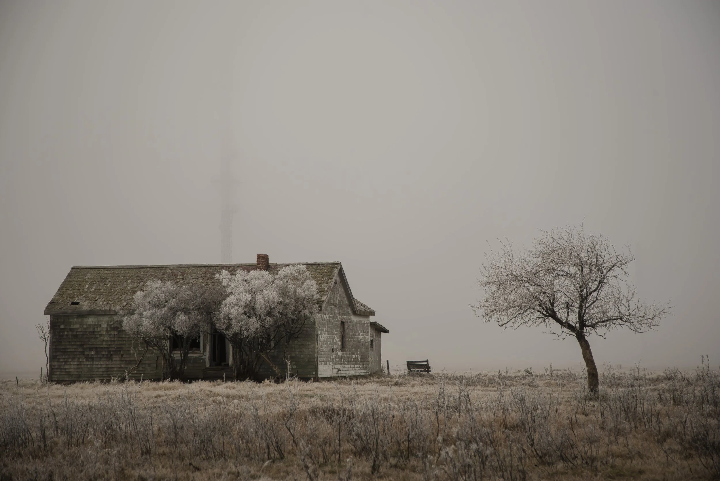 An old house with a steep roof and weathered shingles, surrounded by leafless trees and tall grass, under a gray overcast sky.