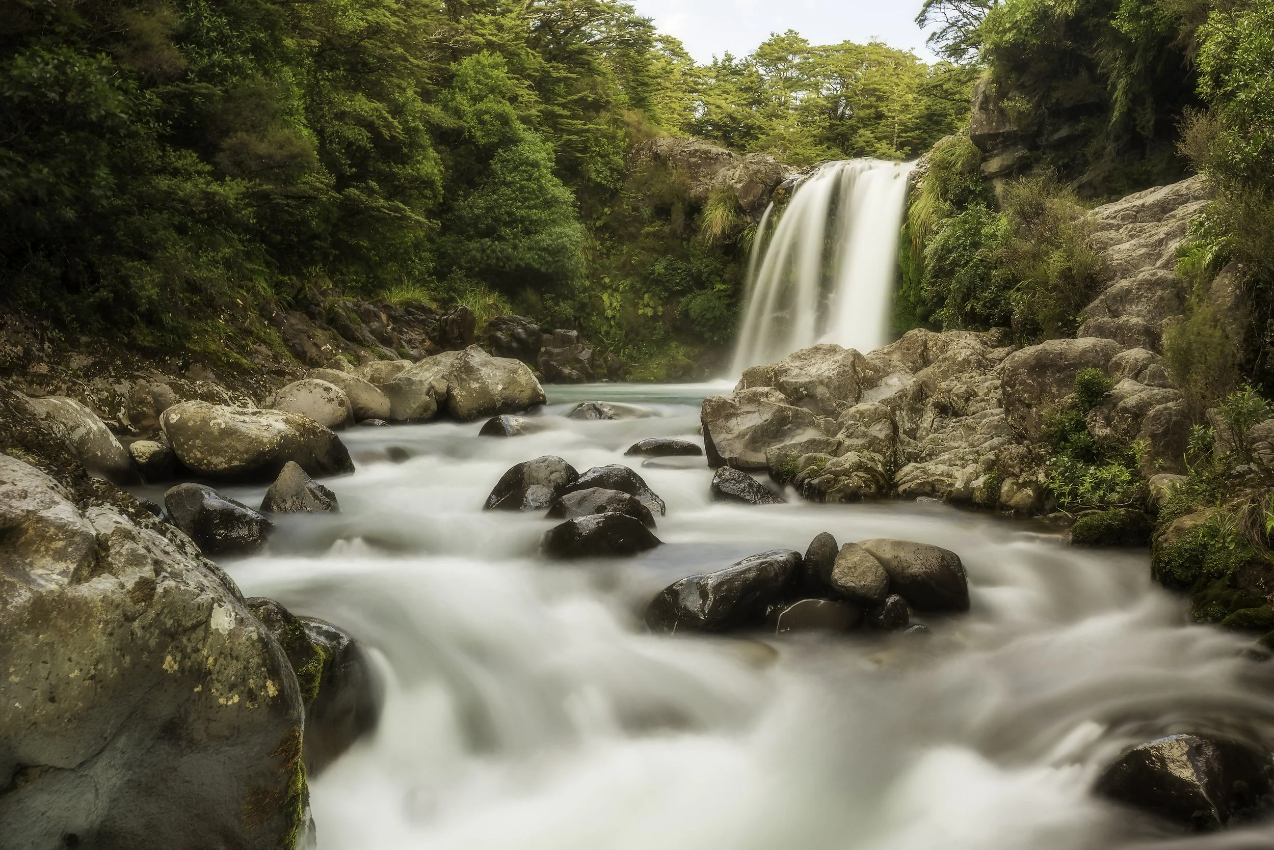 Tawhai Falls 