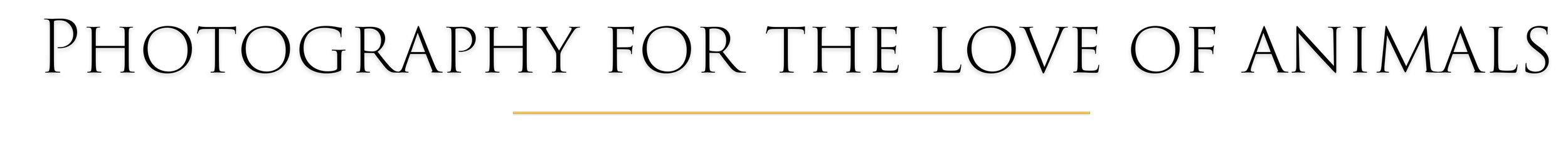 Illustration of a power socket and a plug with a wire connecting them.