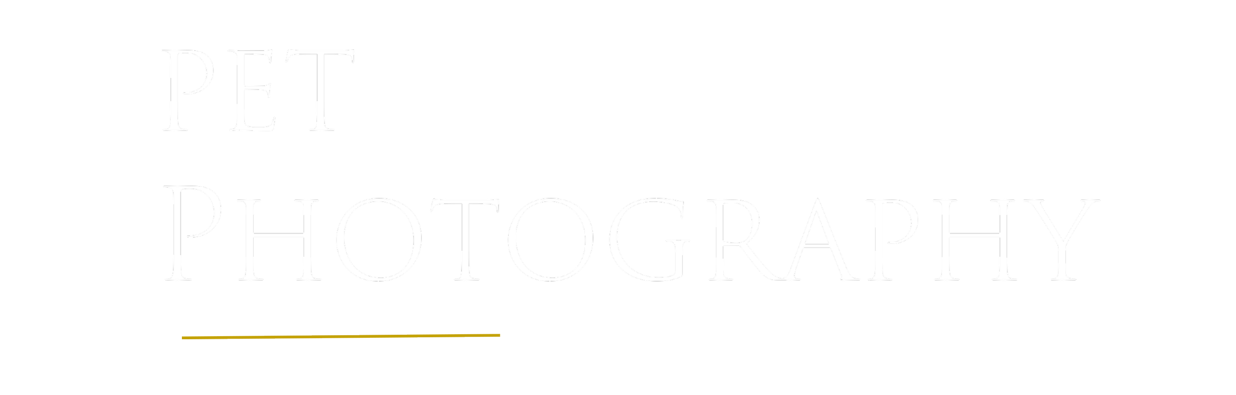 Text on a black background reads "PET PHOTOGRAPHY" in white, with a yellow line underneath.