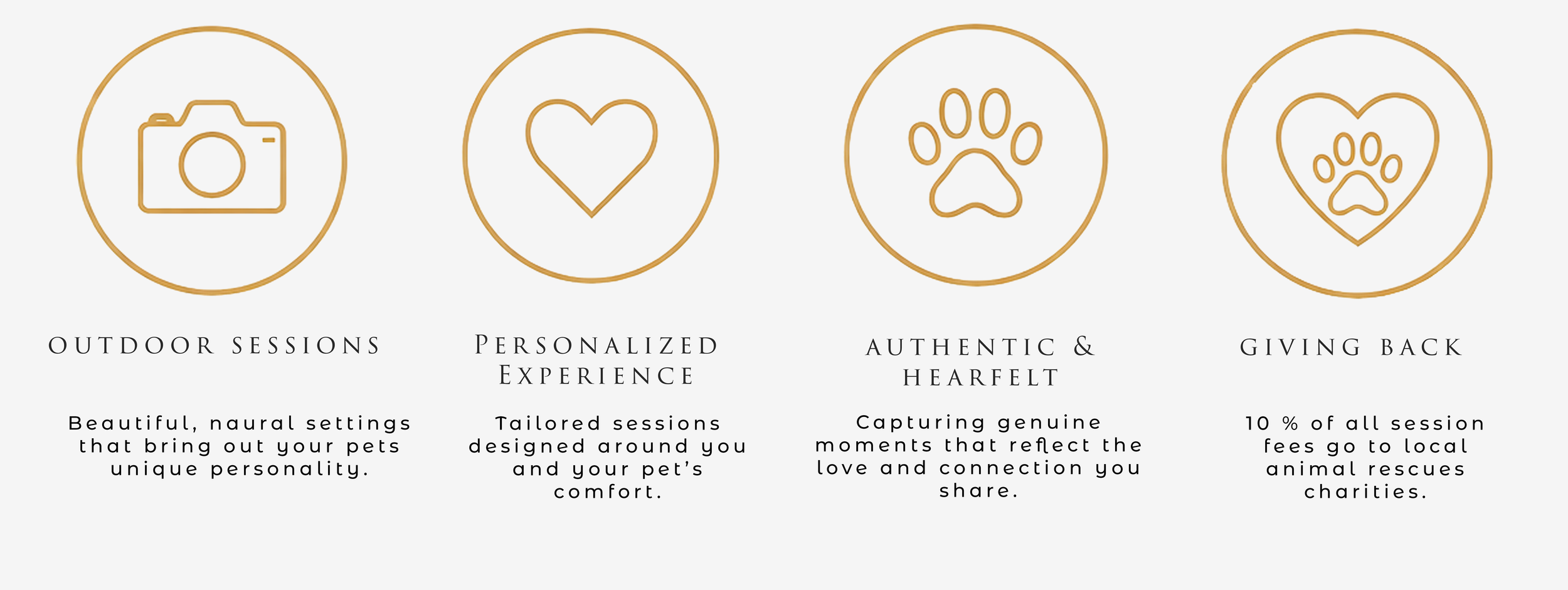 Icons with text describing outdoor pet sessions, personalized pet experiences, genuine moments, and charitable donations, each represented by a circular icon with a gold outline.