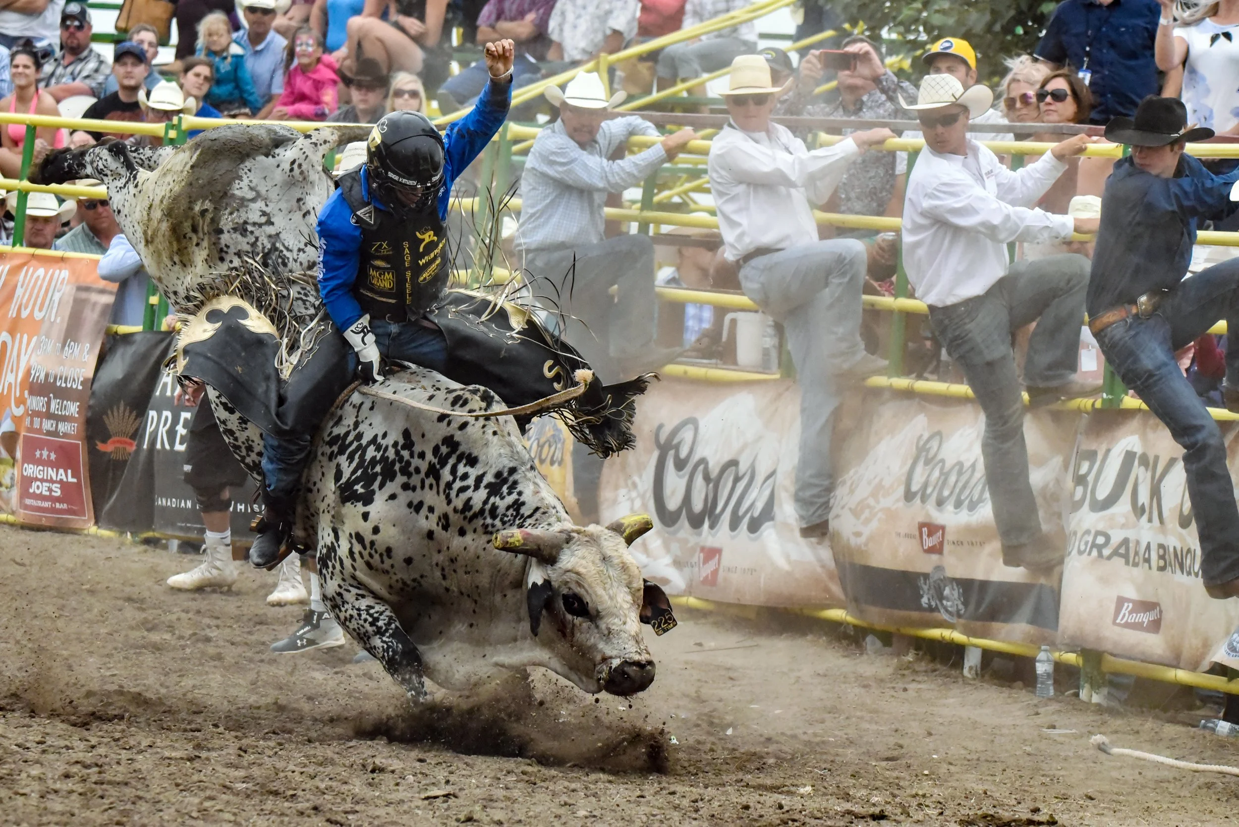 A rodeo scene with a cowboy on a spotted bull in a dirt arena, raising one hand. Spectators watch behind a yellow safety barrier, some taking photos. The audience is diverse, wearing Western hats and sunglasses.