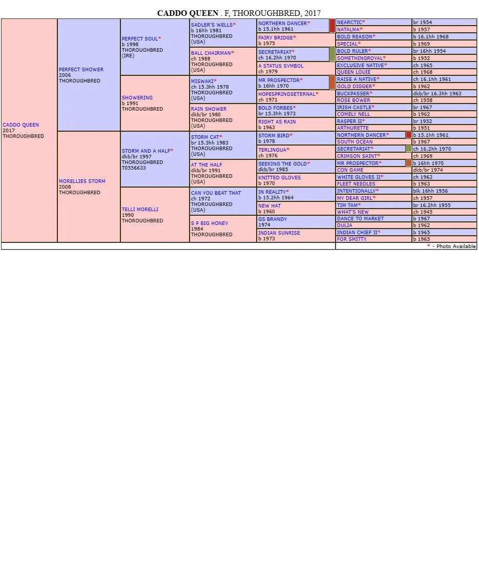 Caddo Queen pedigree.jpg