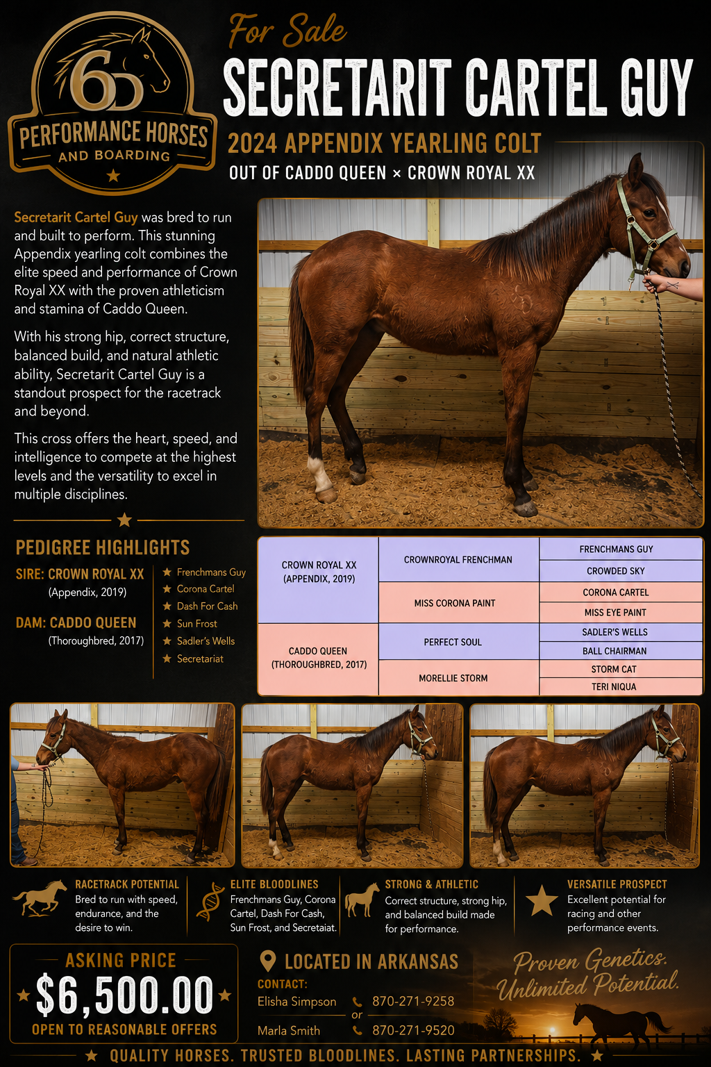 Secretariat Cartel Guy