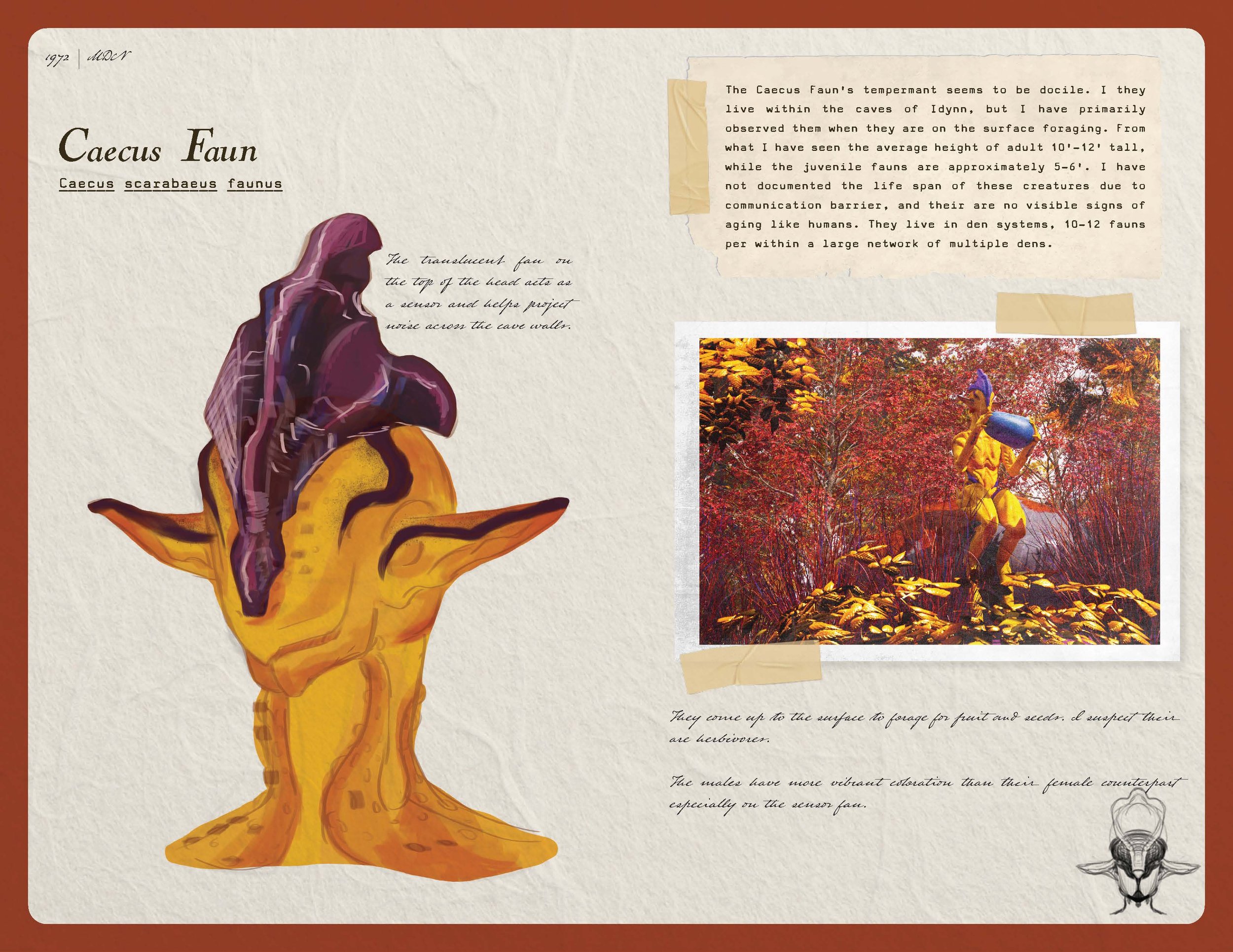 2026 08 11_Idynn Booklet Final Spreads_Page_12.jpg