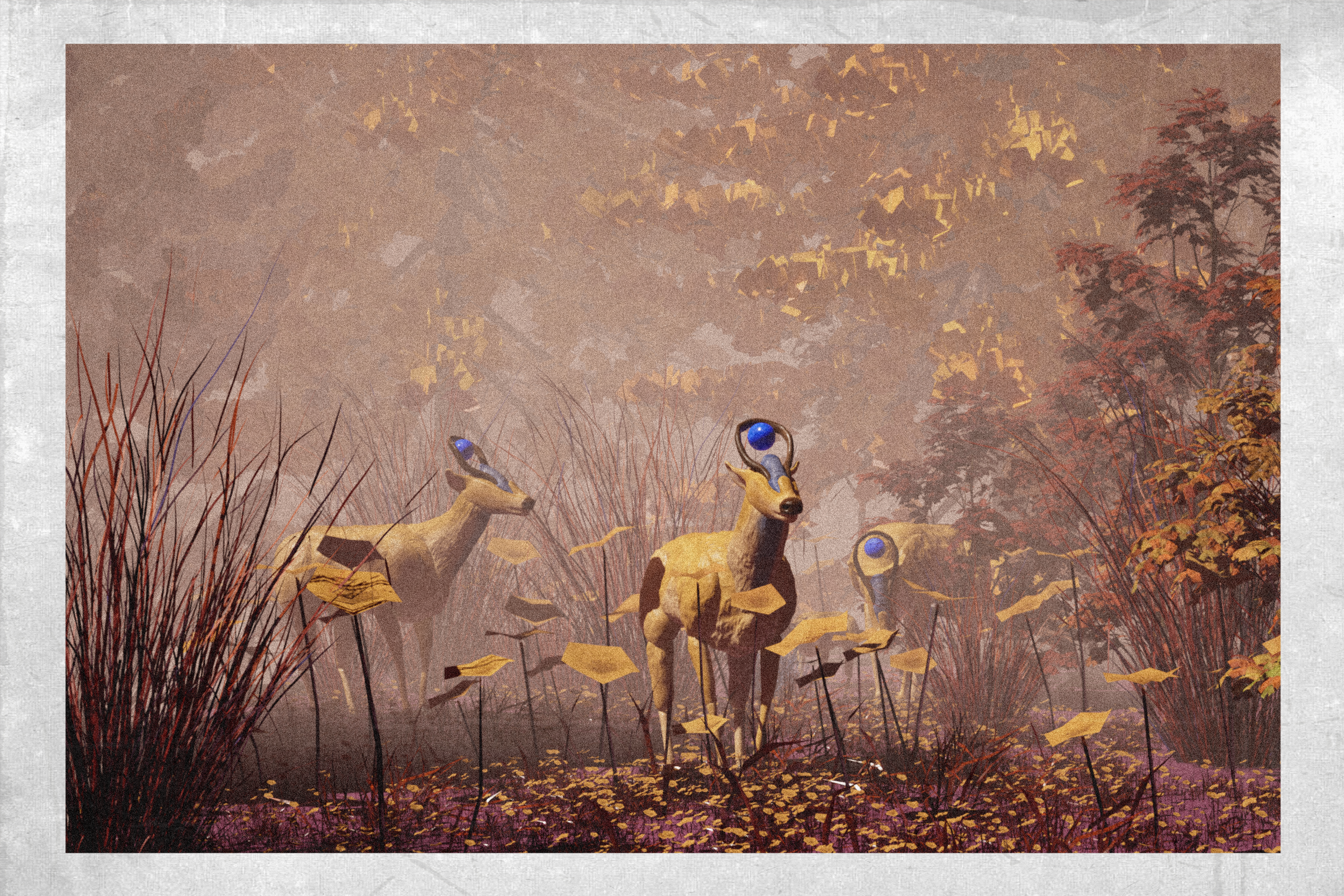 idynnwhite_tail_photo.png