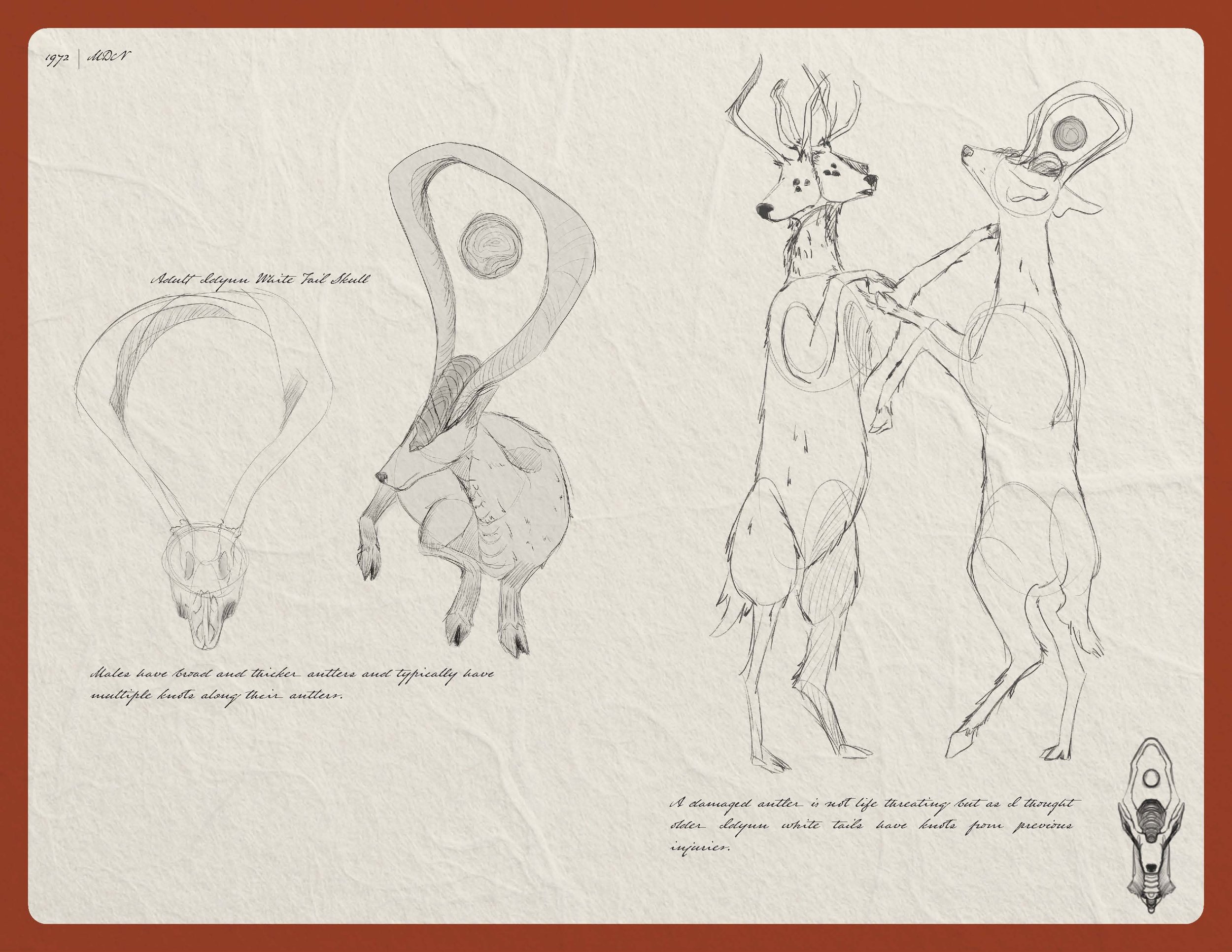 2026 08 11_Idynn Booklet Final Spreads_Page_15.jpg