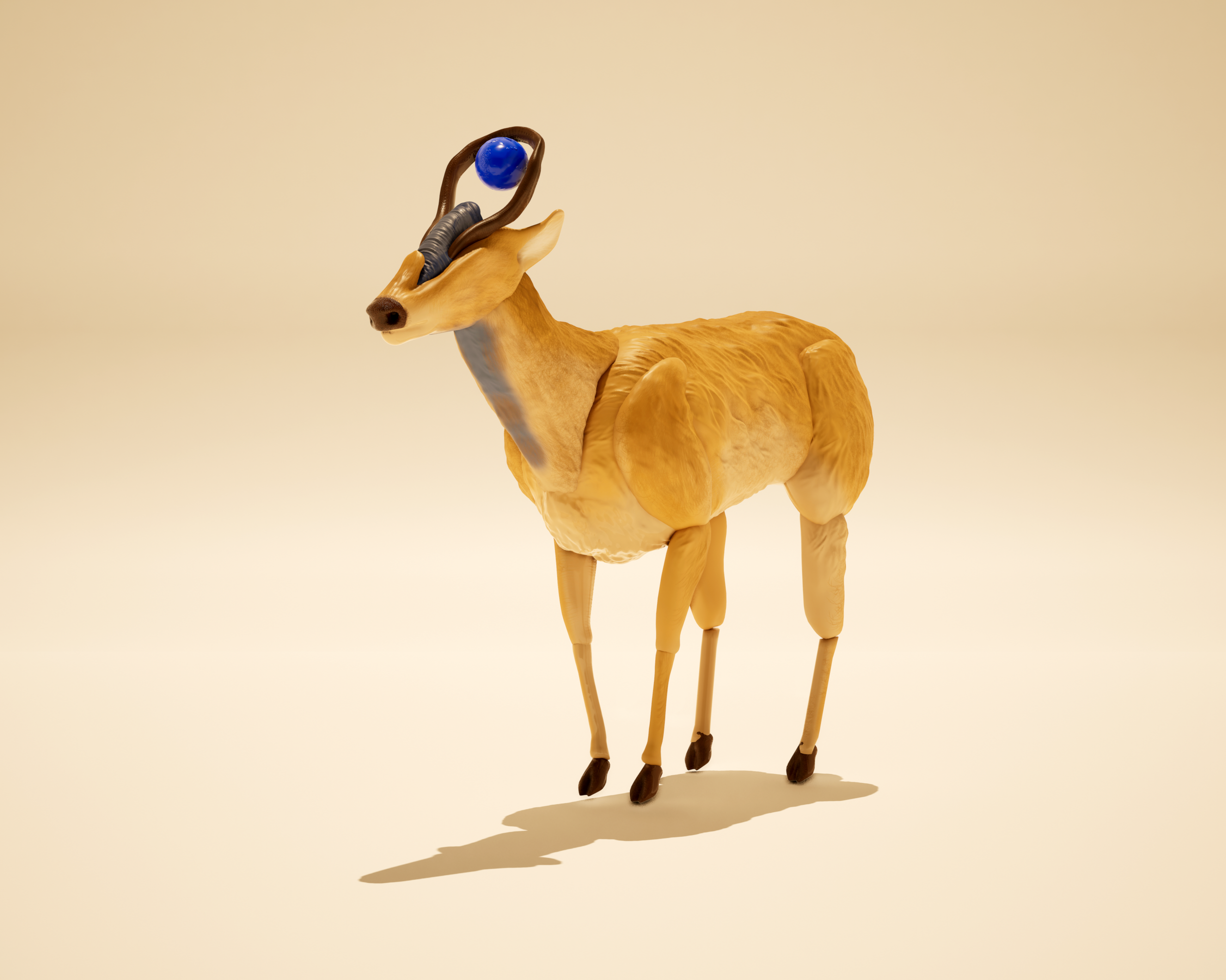 Idynn Whitetail