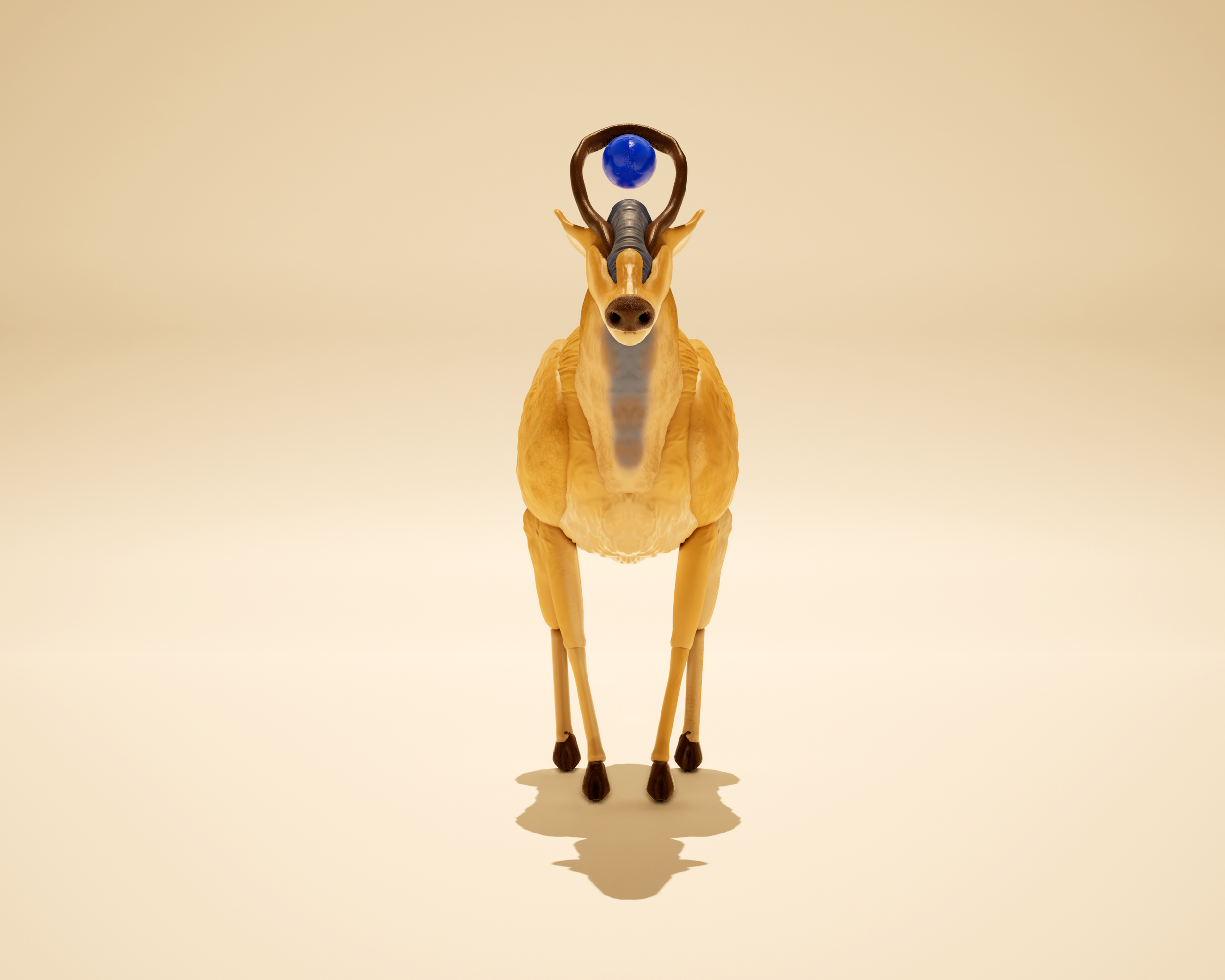Idynn Whitetail