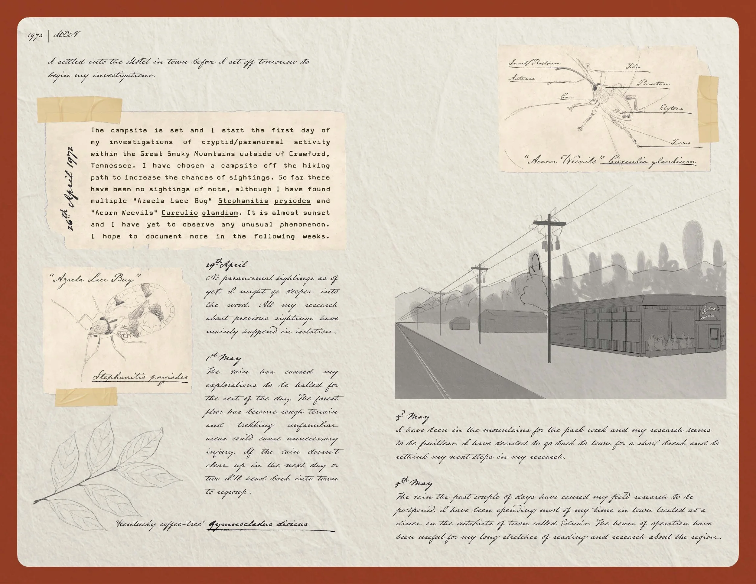 2026 08 11_Idynn Booklet Final Spreads_Page_06.jpg