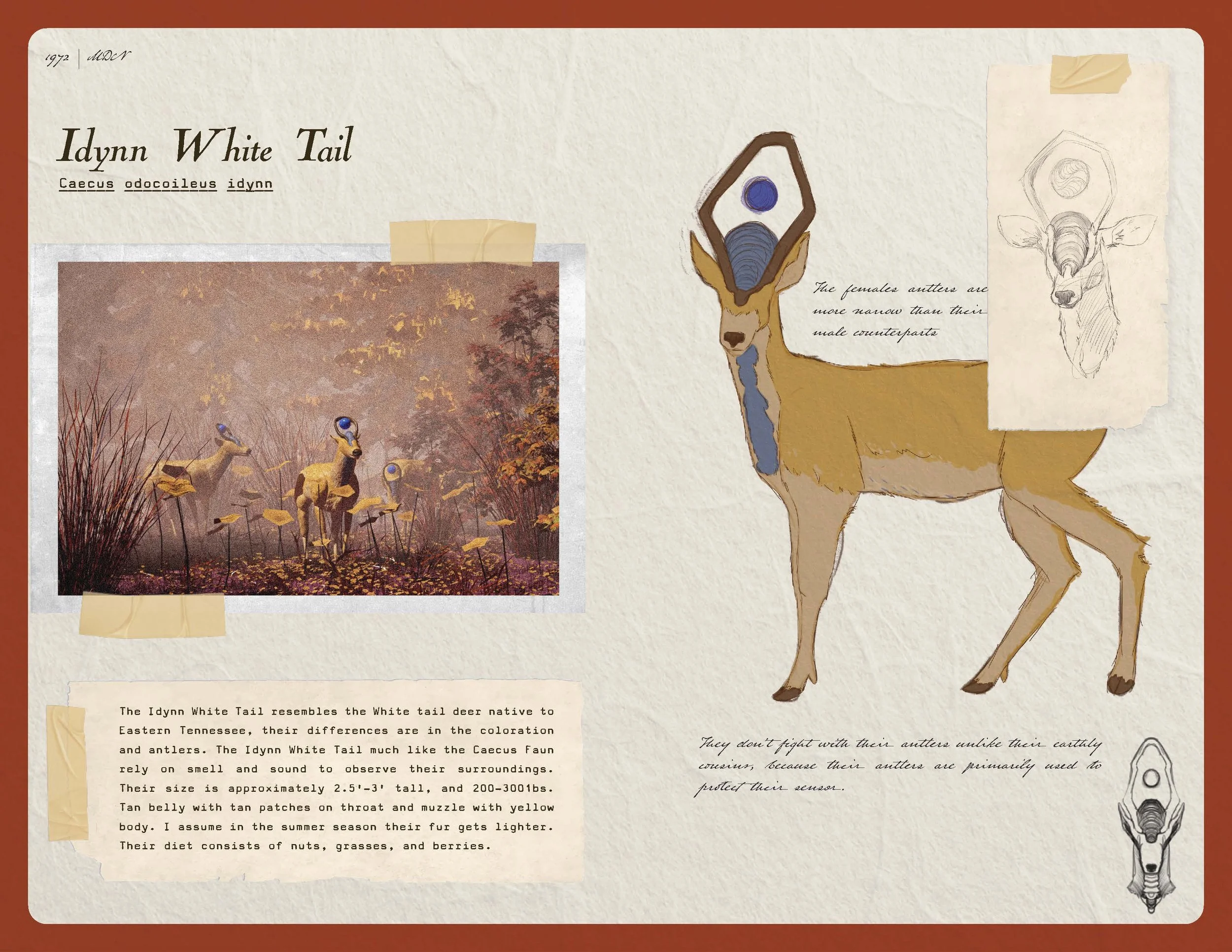 2026 08 11_Idynn Booklet Final Spreads_Page_14.jpg