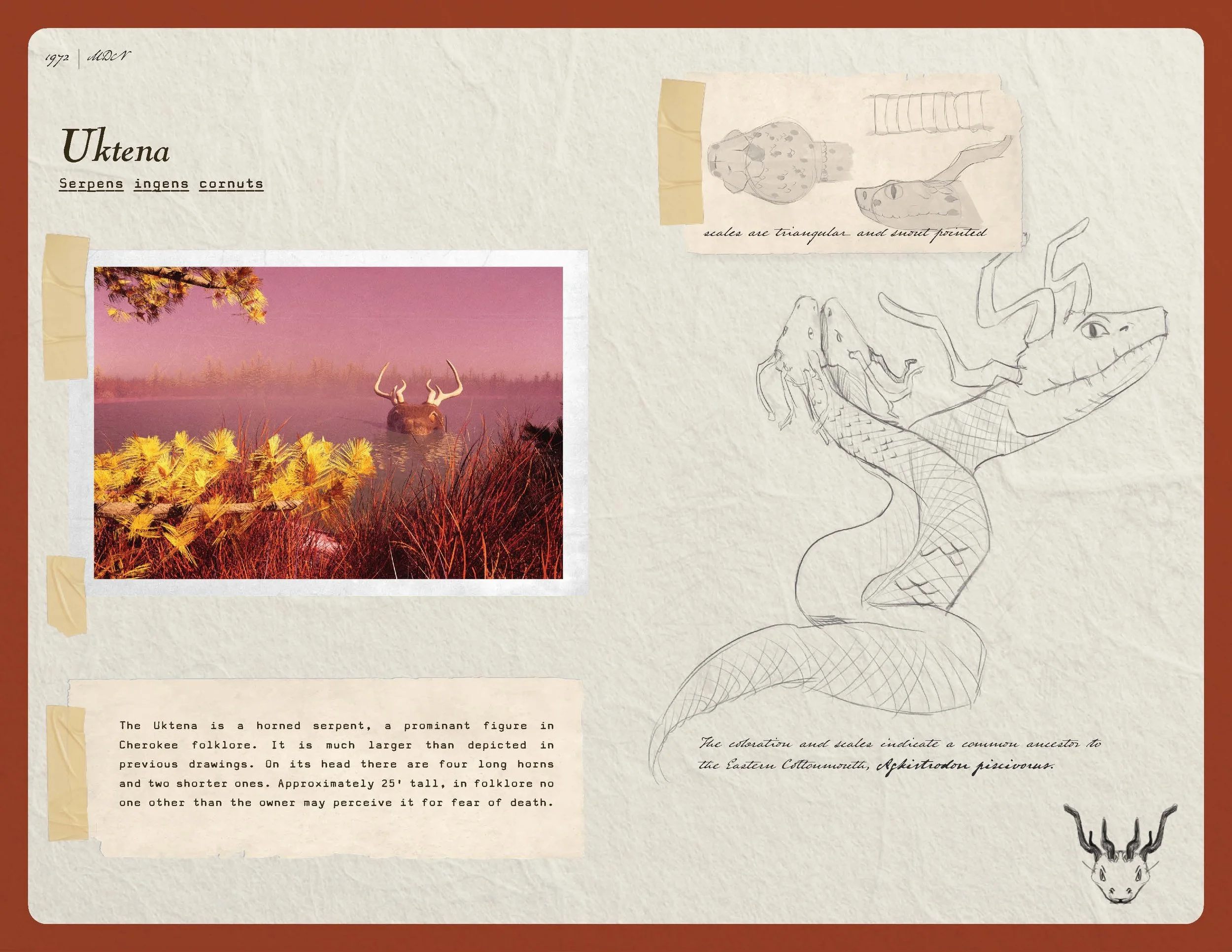 2026 08 11_Idynn Booklet Final Spreads_Page_19.jpg