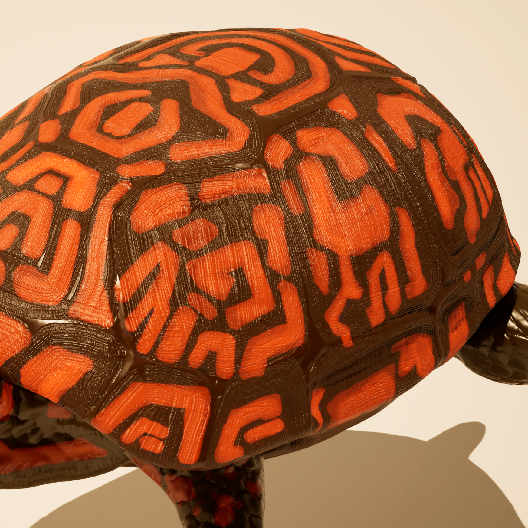 Turtle Island | detail
