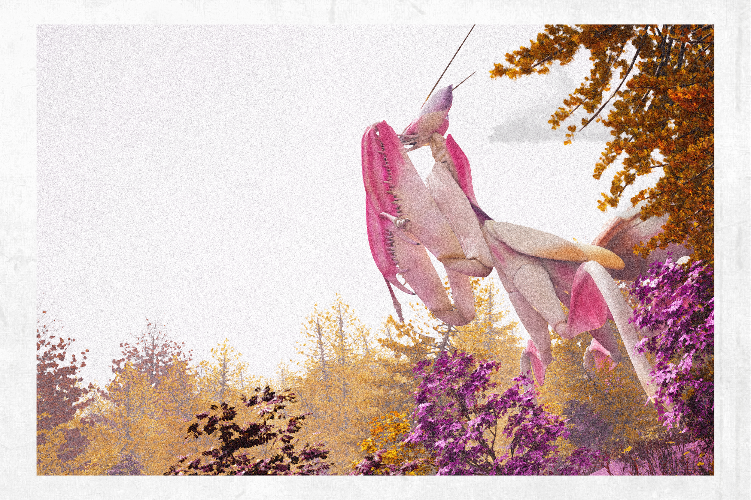 Mantis_.0001.png