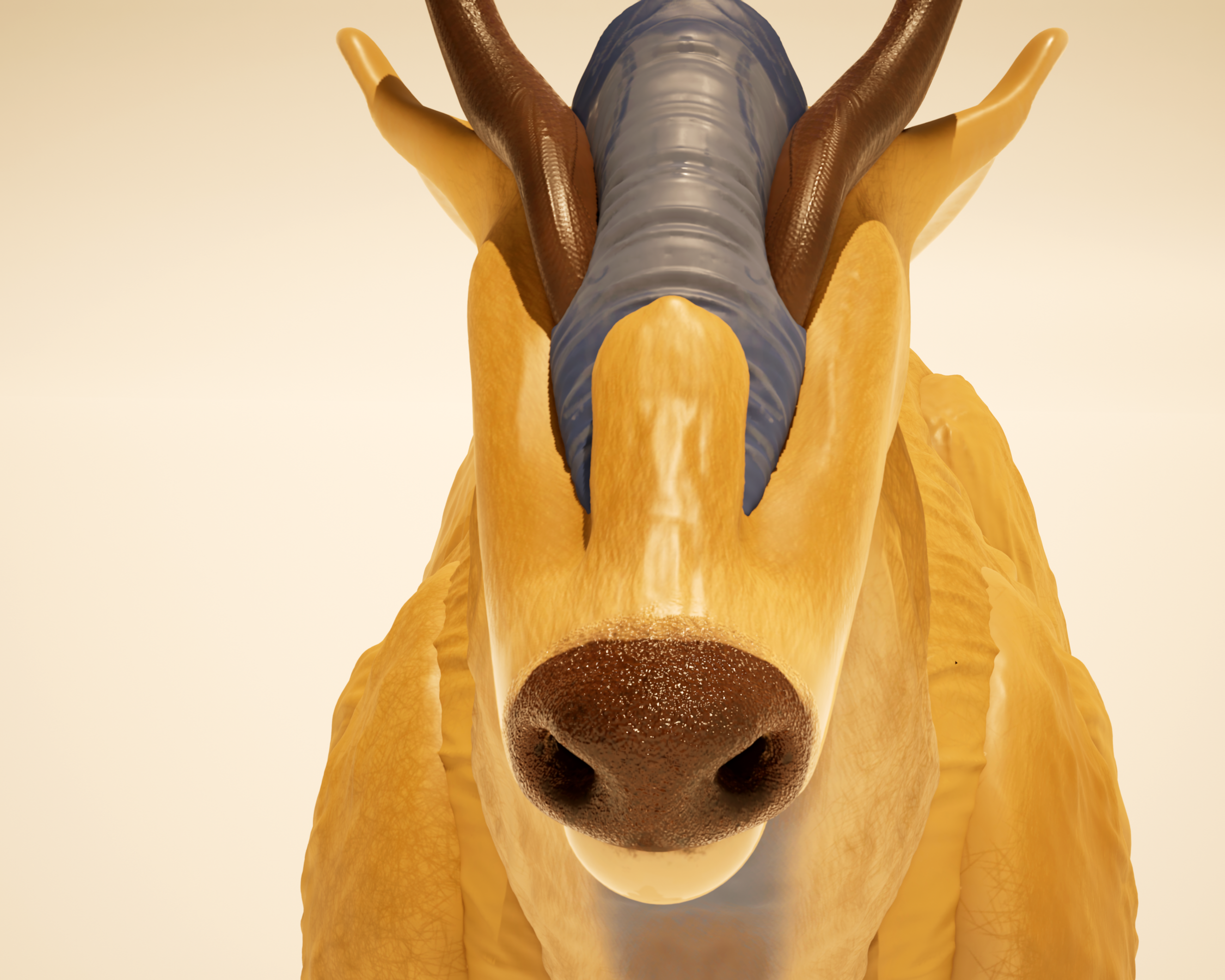 Idynn Whitetail | Detail