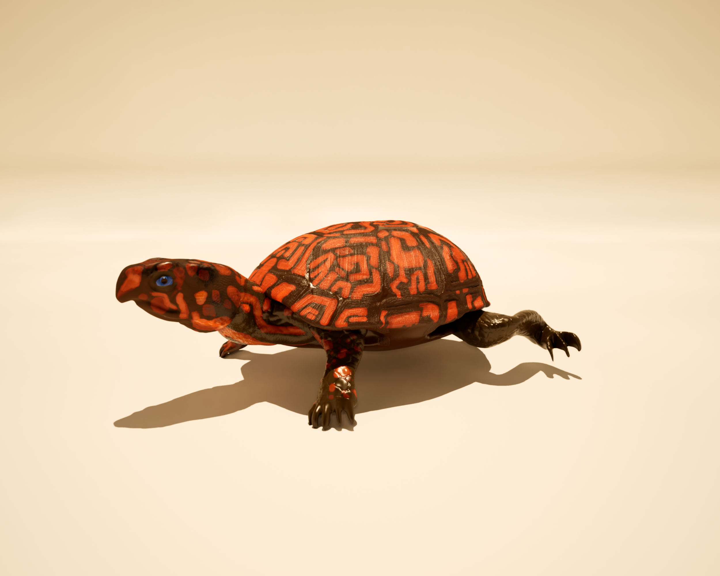 Turtle Island