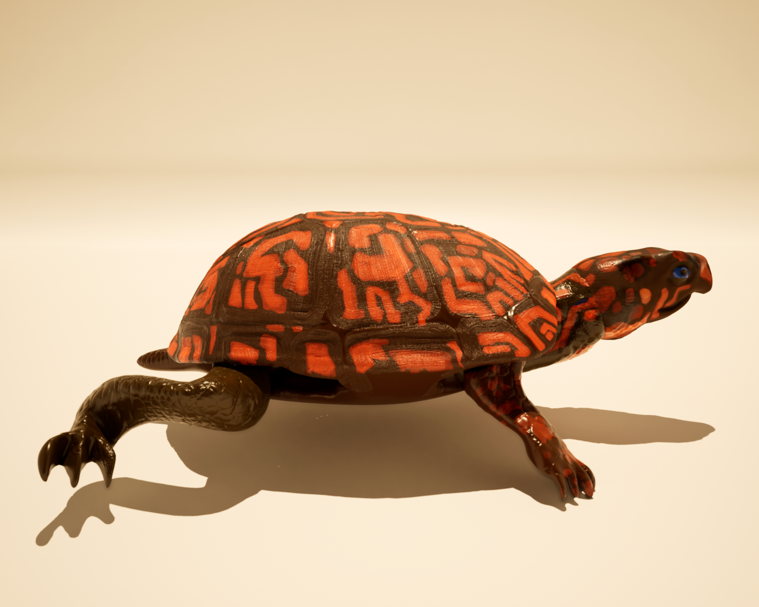 Turtle Island