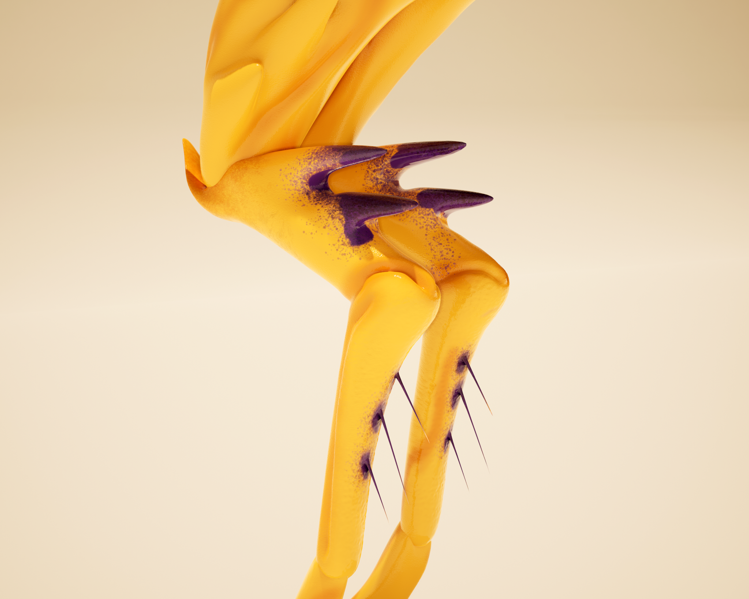 Caecus Faun | detail