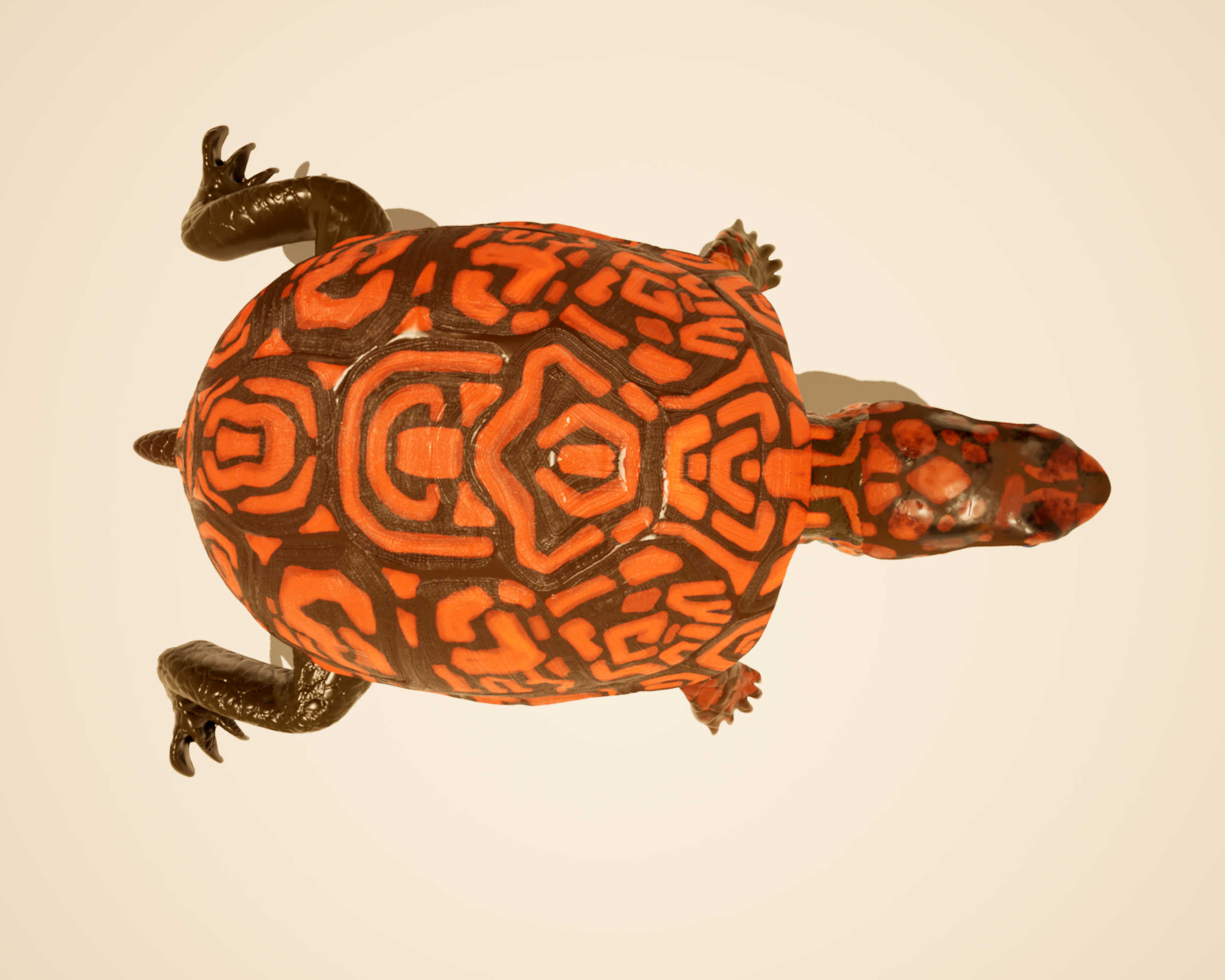 Turtle Island