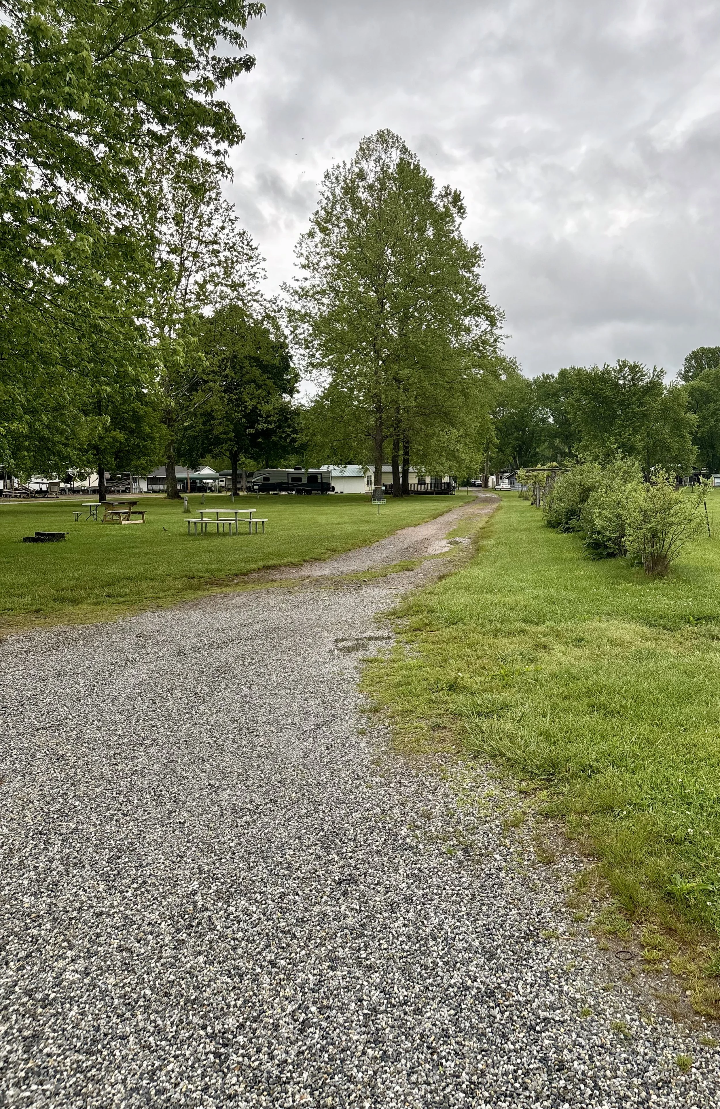 tent site at cartoogechaye creek campground