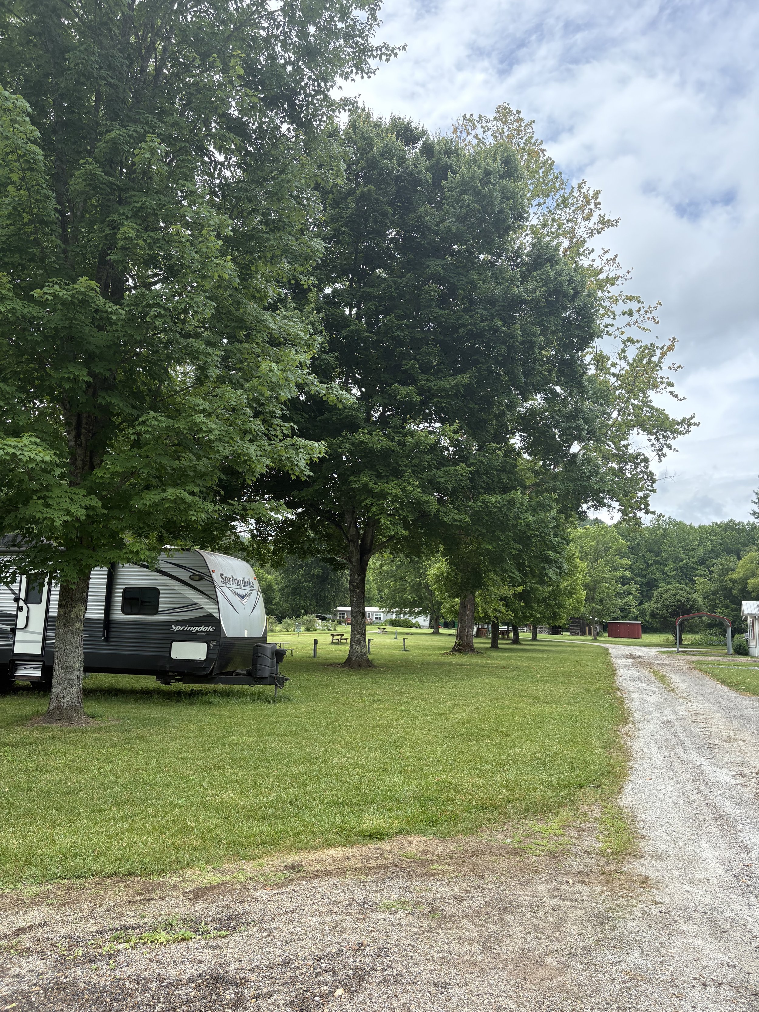 road for campers at cartoogechaye creek campground