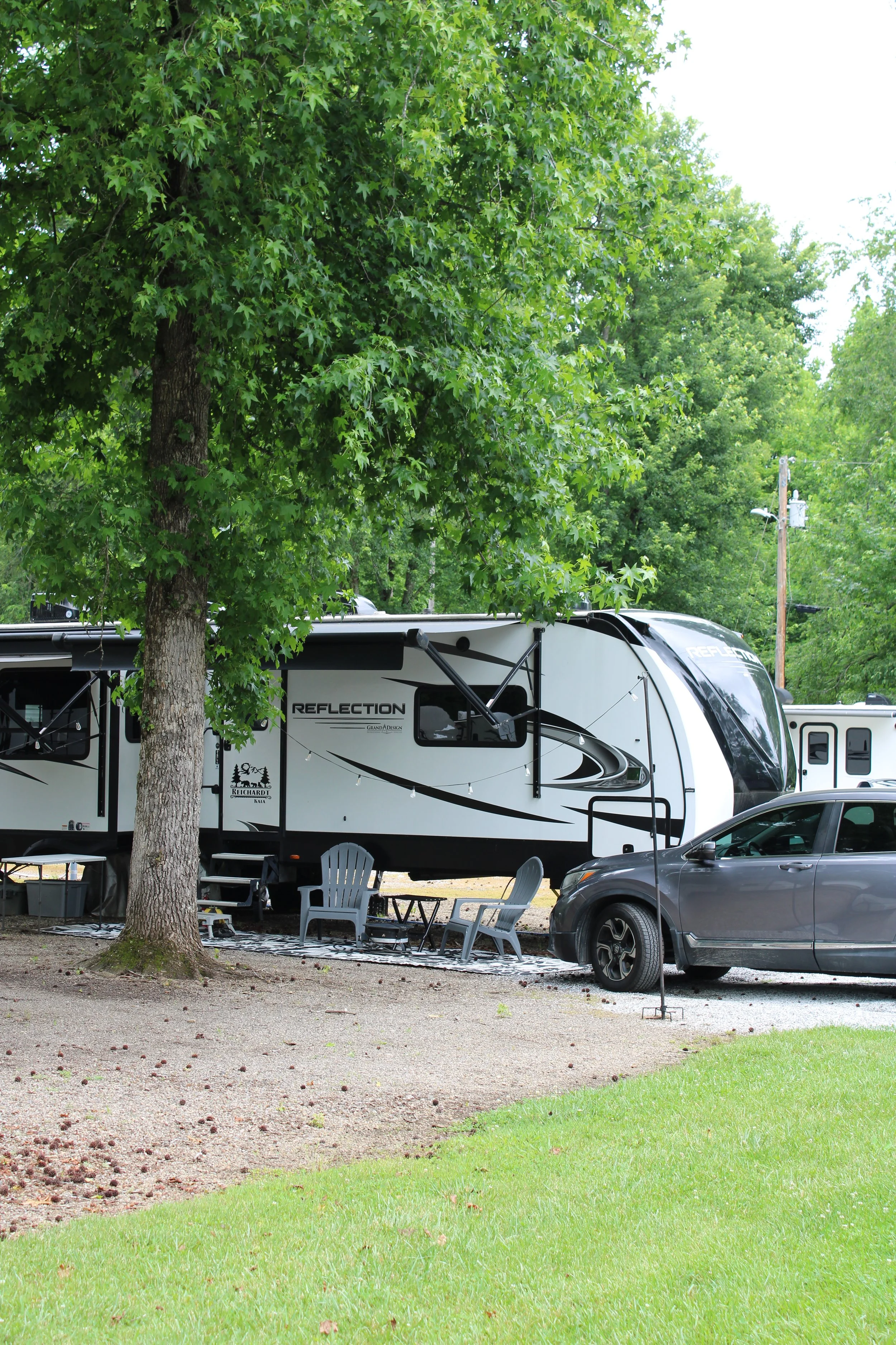 campsite at cartoogechaye creek campground