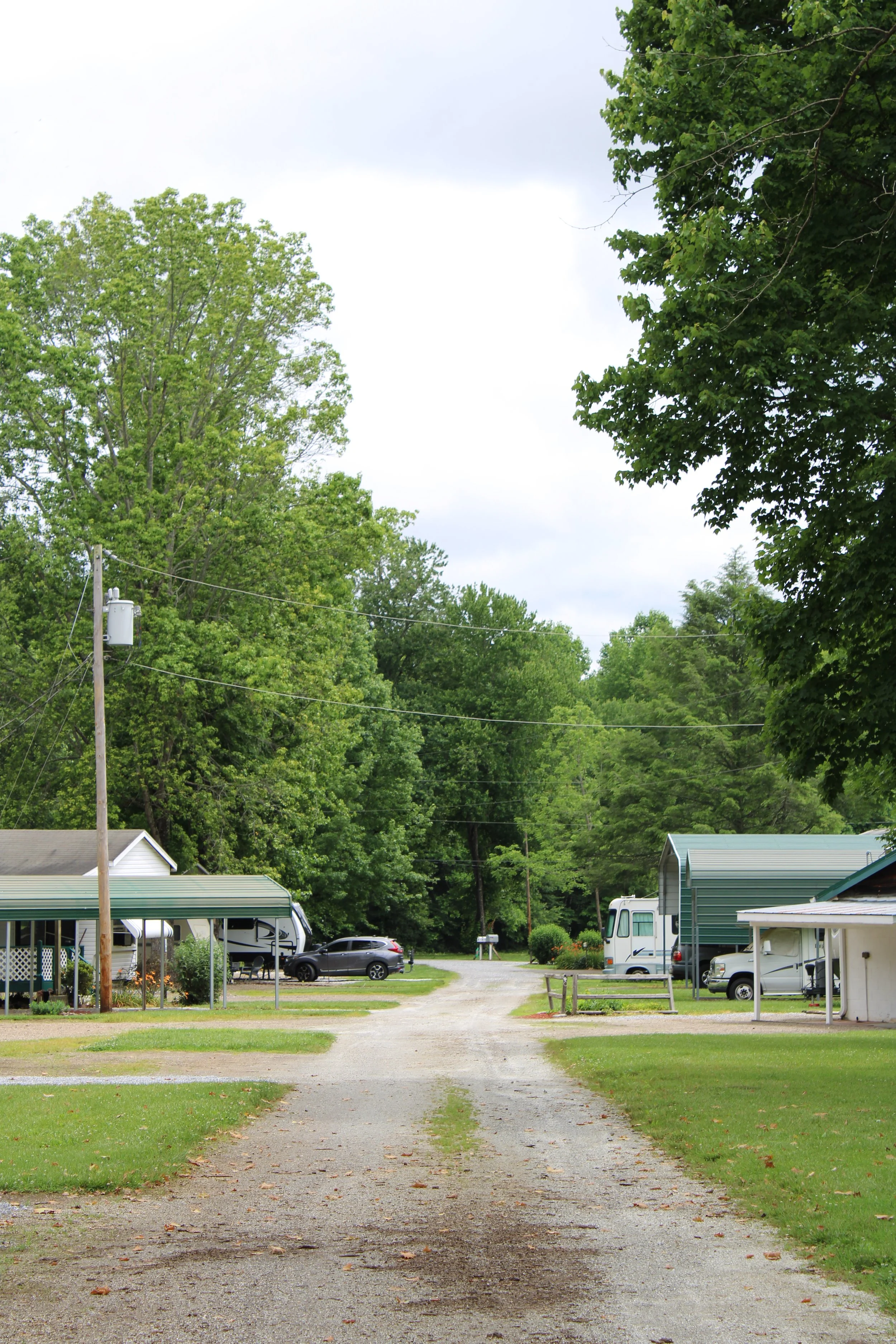 road at cartoogechaye creek campground