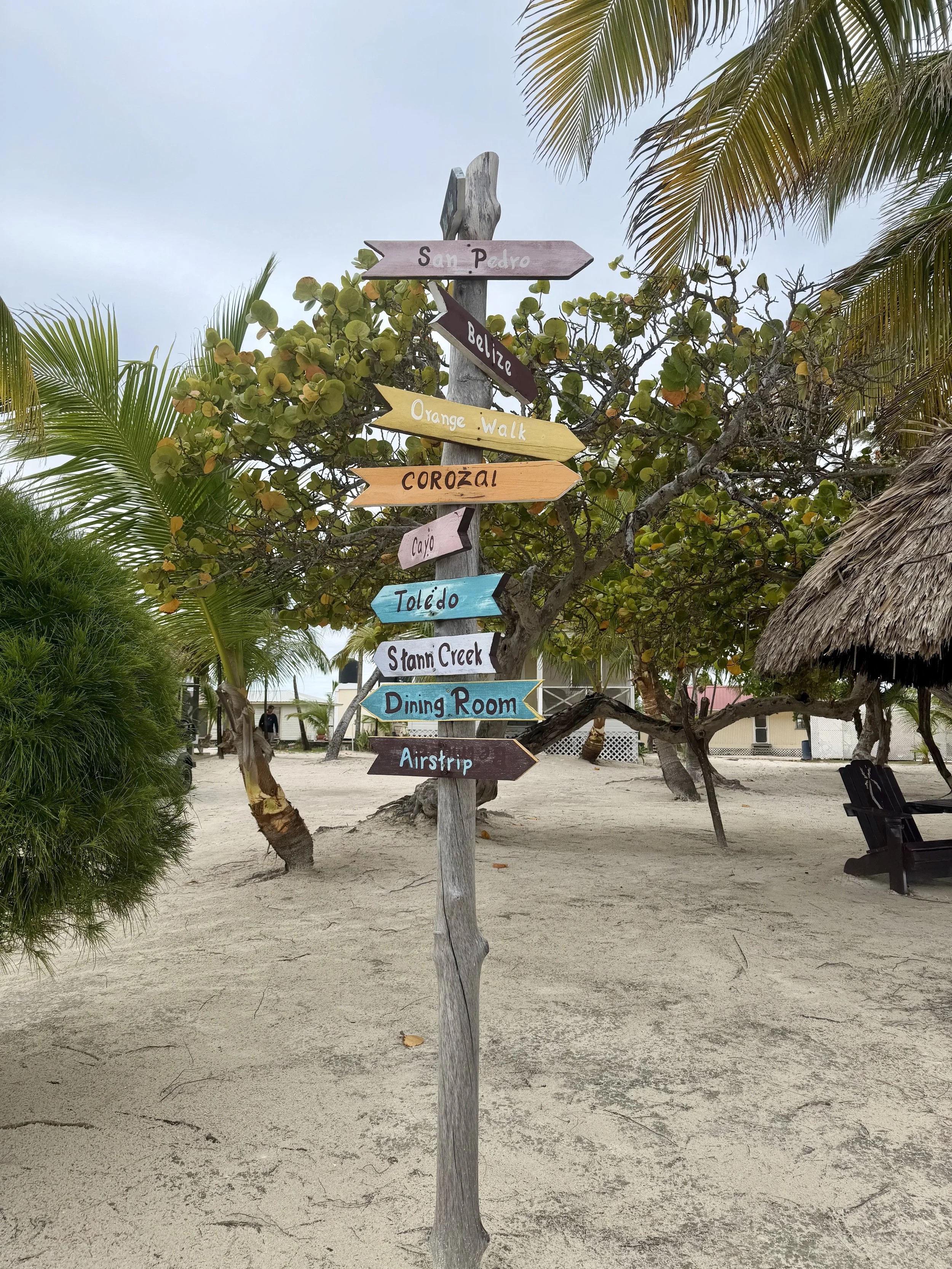 Colorful wooden directional signs on a beach with palm trees and sand, pointing to various locations such as Sun Pedro, Belize, Orange Walk, Corozal, Cayo, Toledo, Stani Creek, and Airstrip.