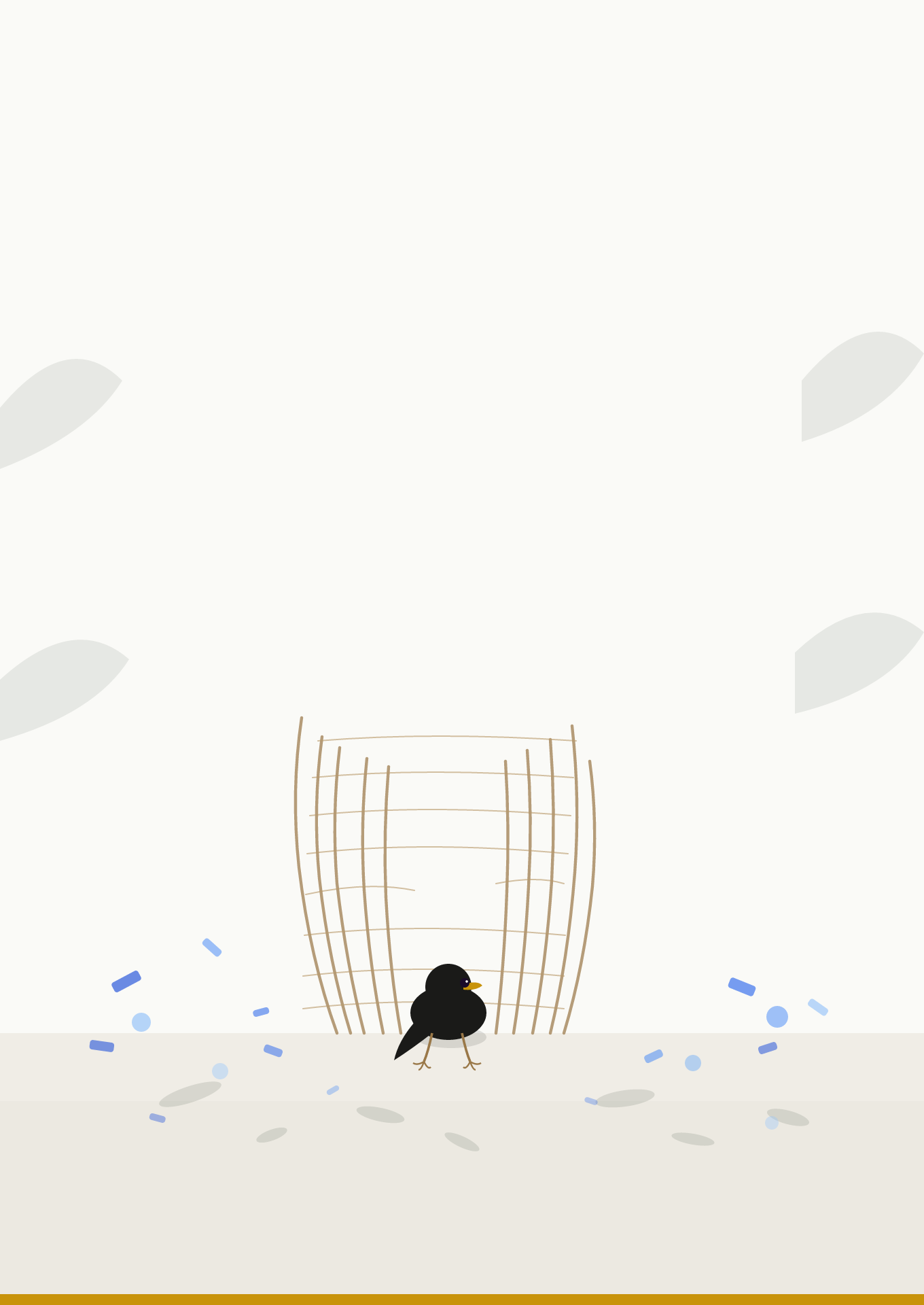 The Bowerbird Method_Stage 01