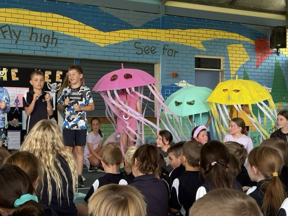 2026 Term 2 Week 6