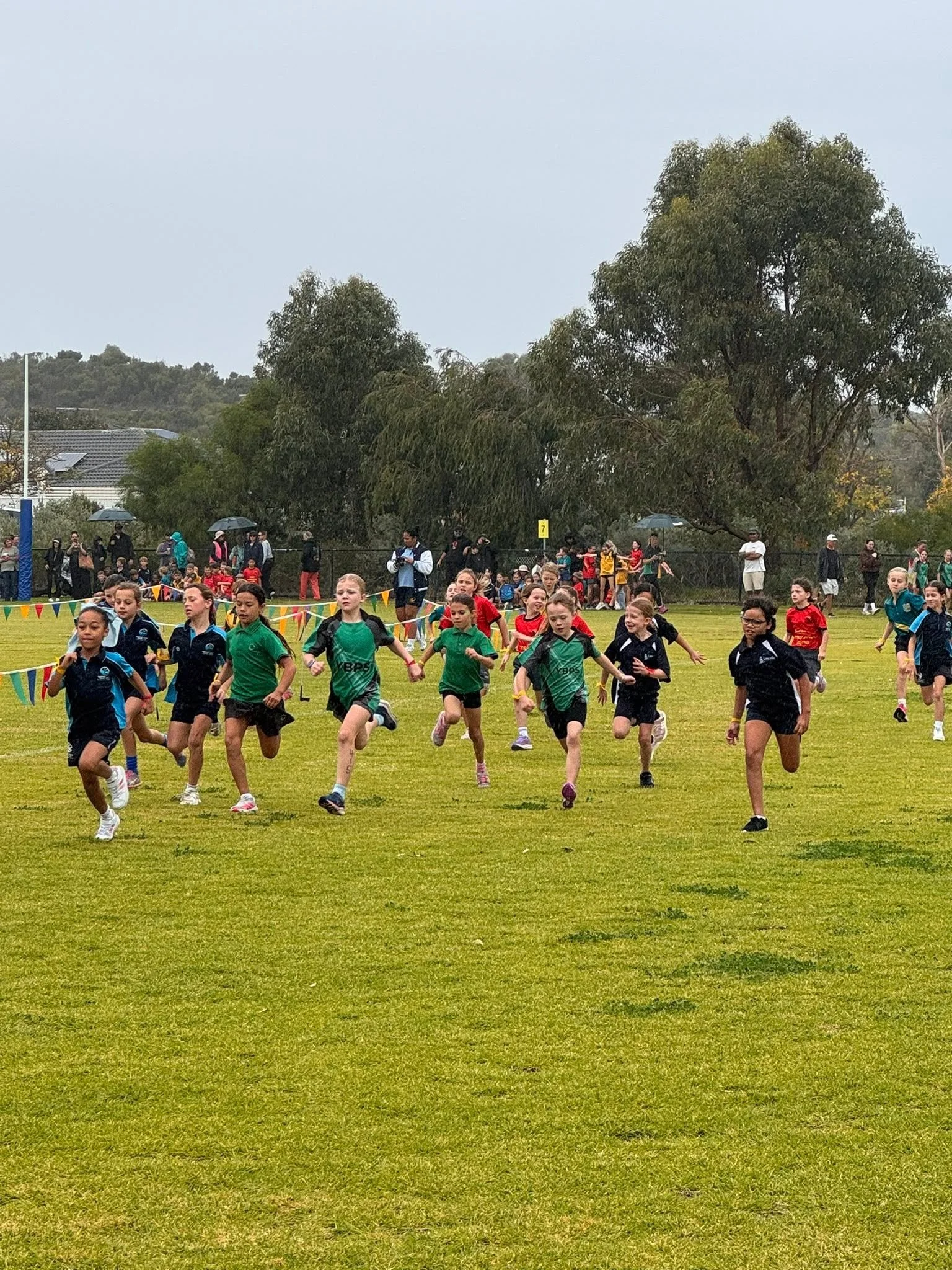 2026 Term 2 Week 7