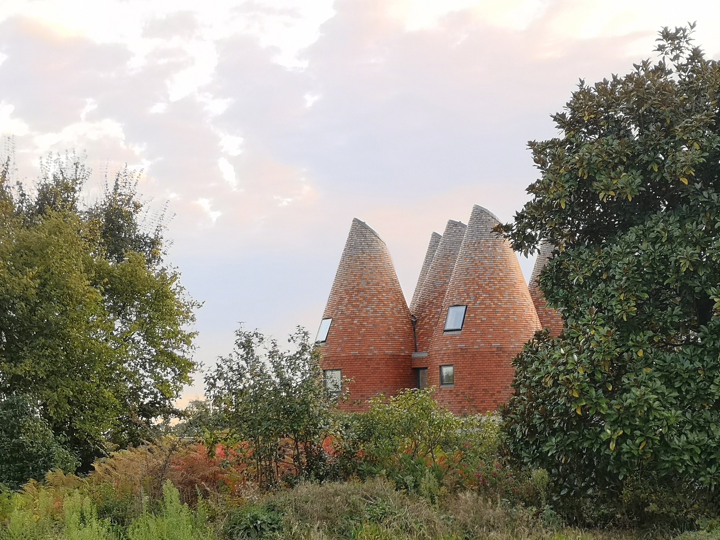 View of the house through the surrounding woodland landscape.
