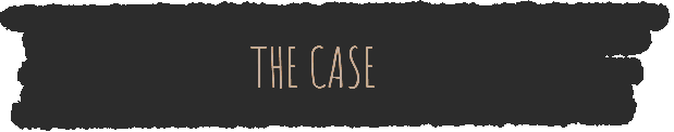 A dark background with the text 'THE CASE' written on it