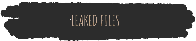 Text that reads 'Leaked Files' against a dark background.