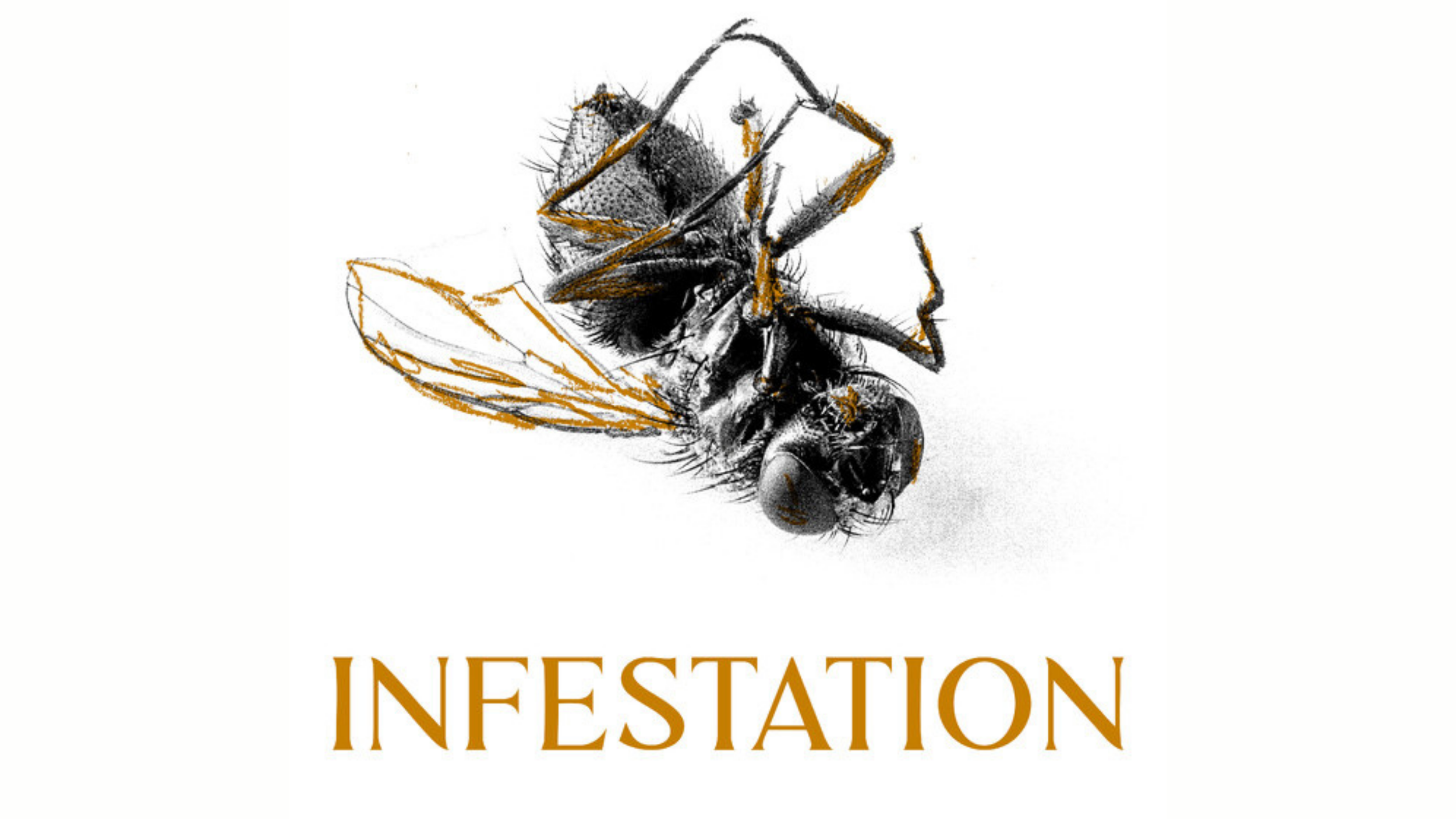 Close-up of a bee with detailed black and white illustration style, with orange accents on wings and parts of the body, and the word 'Infestation' partially visible below in gold-colored font.