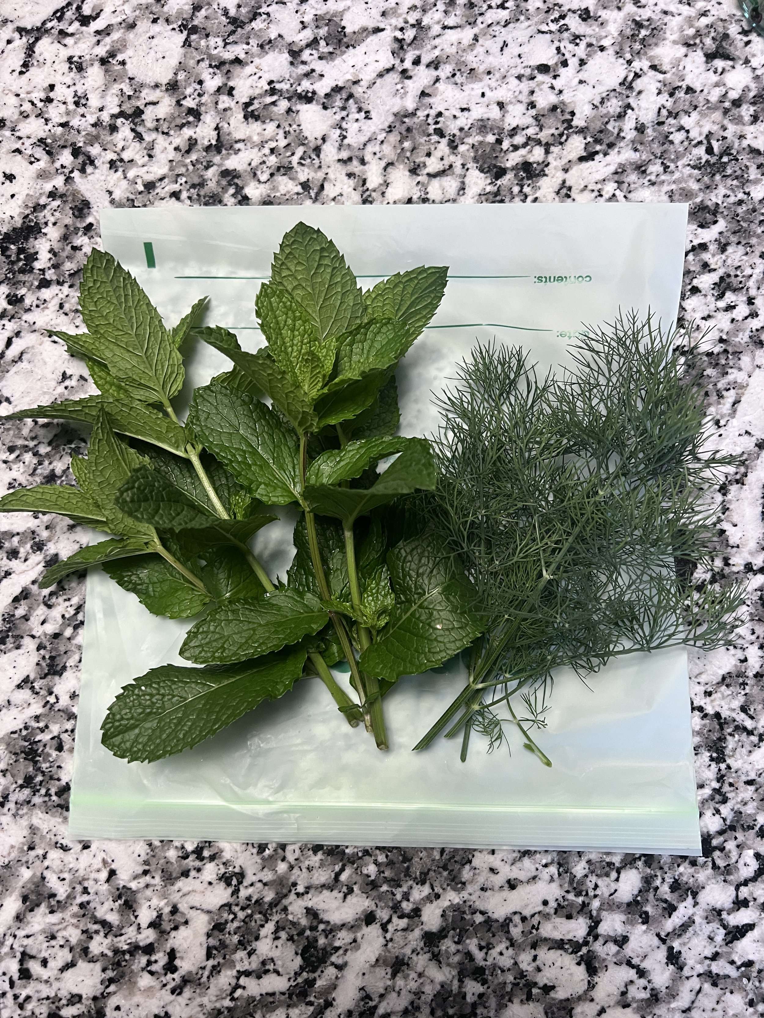 Garden Fresh Herbs