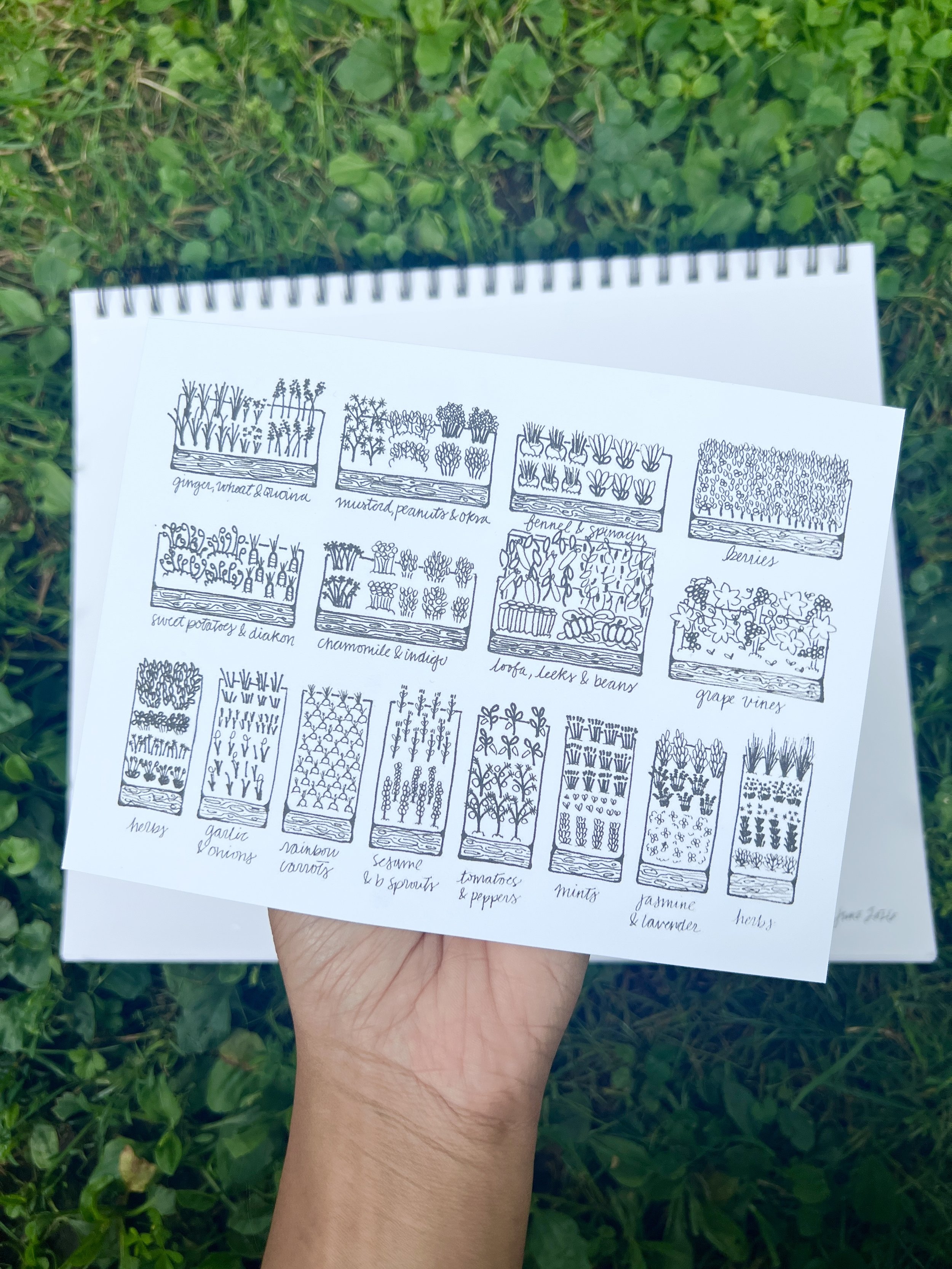 Garden Print