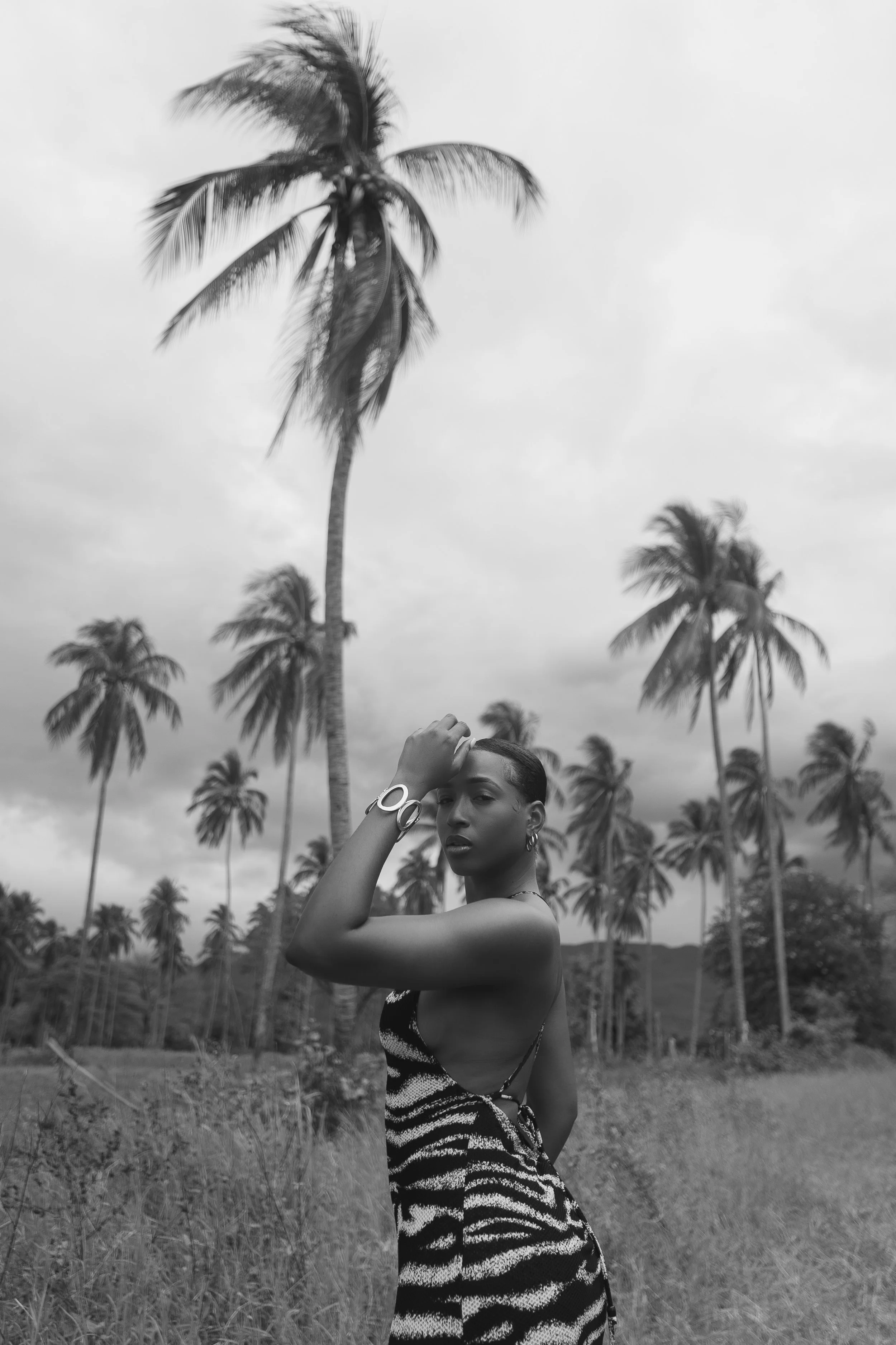 DSC01285-2.jpg