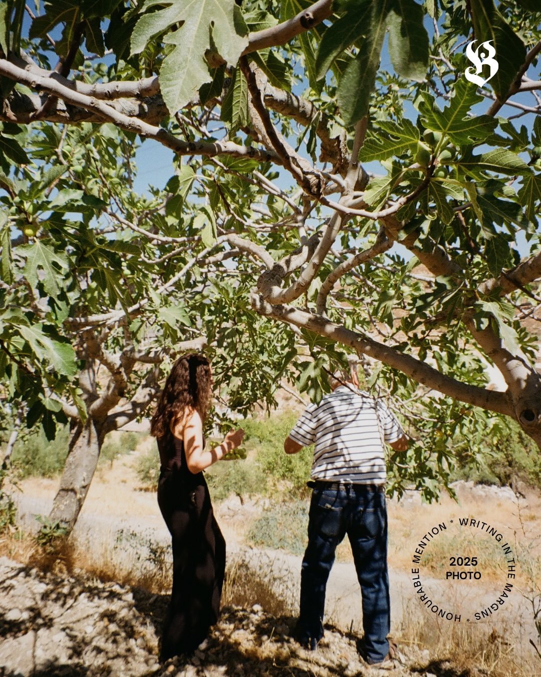 Christina Hajjar&rsquo;s photo essay &ldquo;In the Valley of Memory&rdquo; on the importance of land and the collective struggle for liberation and justice against Zionist occupation and government neglect. 

&ldquo;I use photography in other parts o