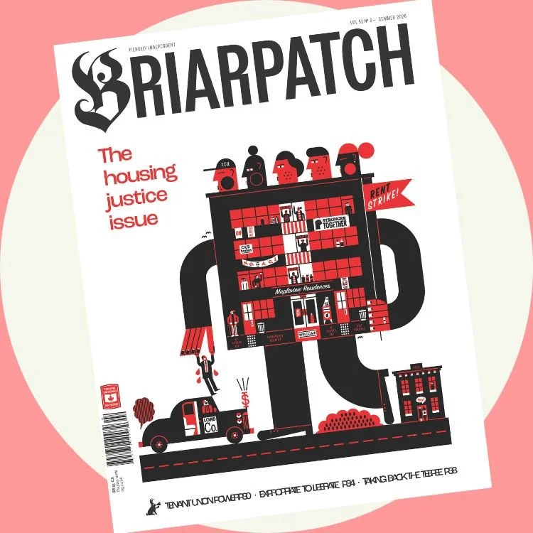 Single Issue Graphic.jpg