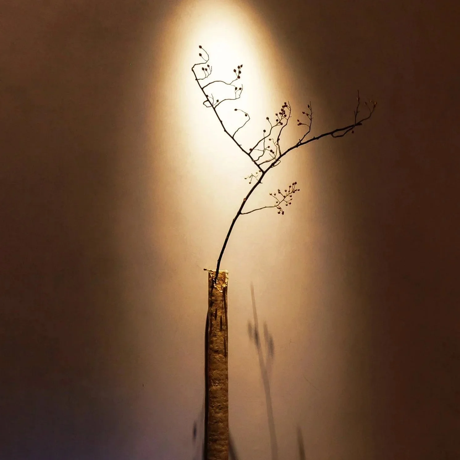 A small, dry tree branch with tiny buds or berries, placed in a vase, with a bright light shining behind it creating a silhouette effect against a dark background.