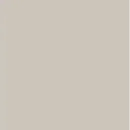 The image shows a plain, solid-colored surface with no discernible objects or details.