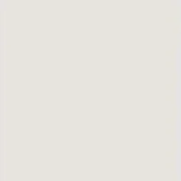 Blank white sheet of paper.