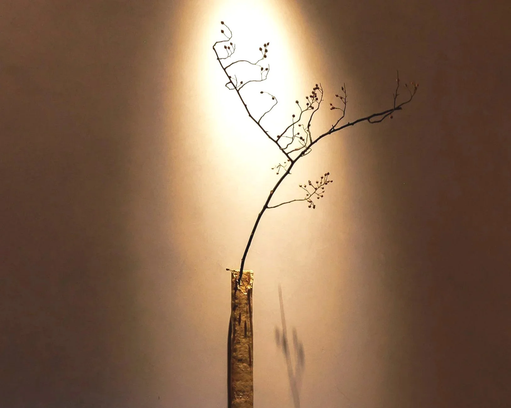 A small, leafless tree with tiny buds is set against a neutral background, illuminated by a light source from behind, creating a silhouette with a soft glow.