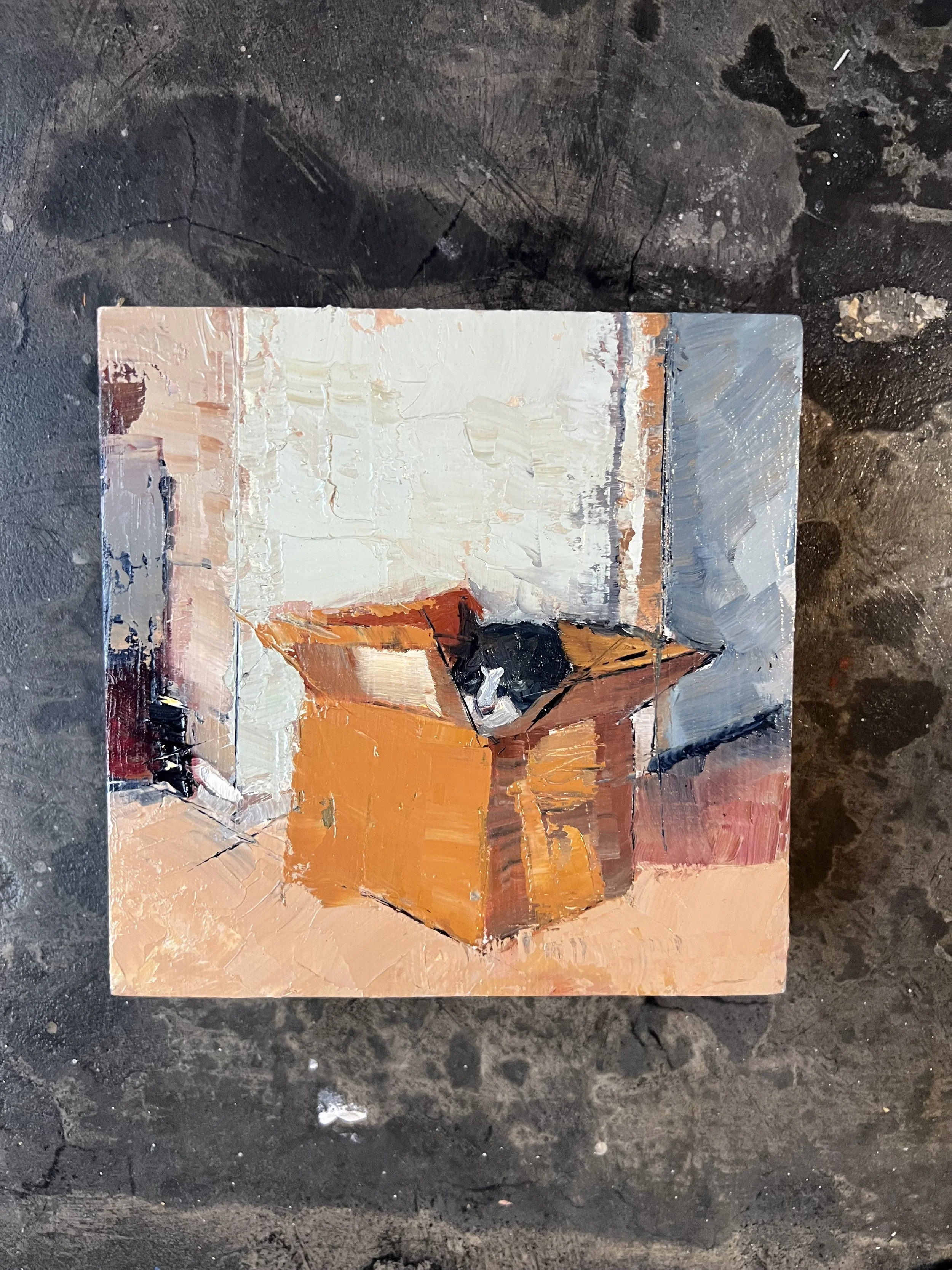 Cat in a Box in a Big World