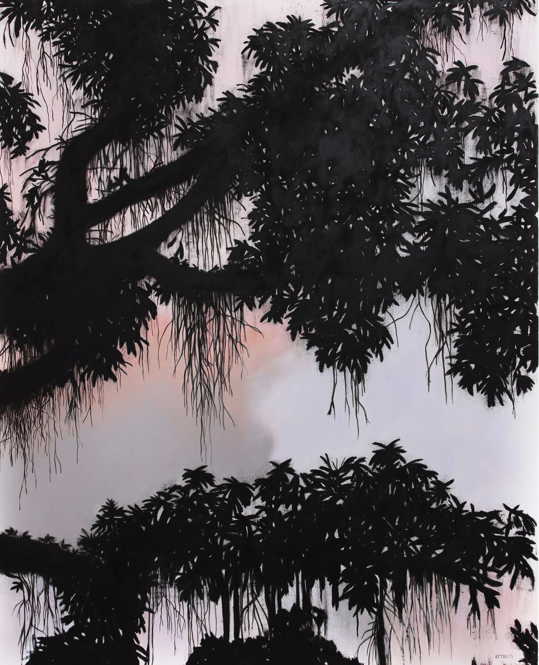 Silhouette of large trees with hanging vines against a pink and white sky at sunset.