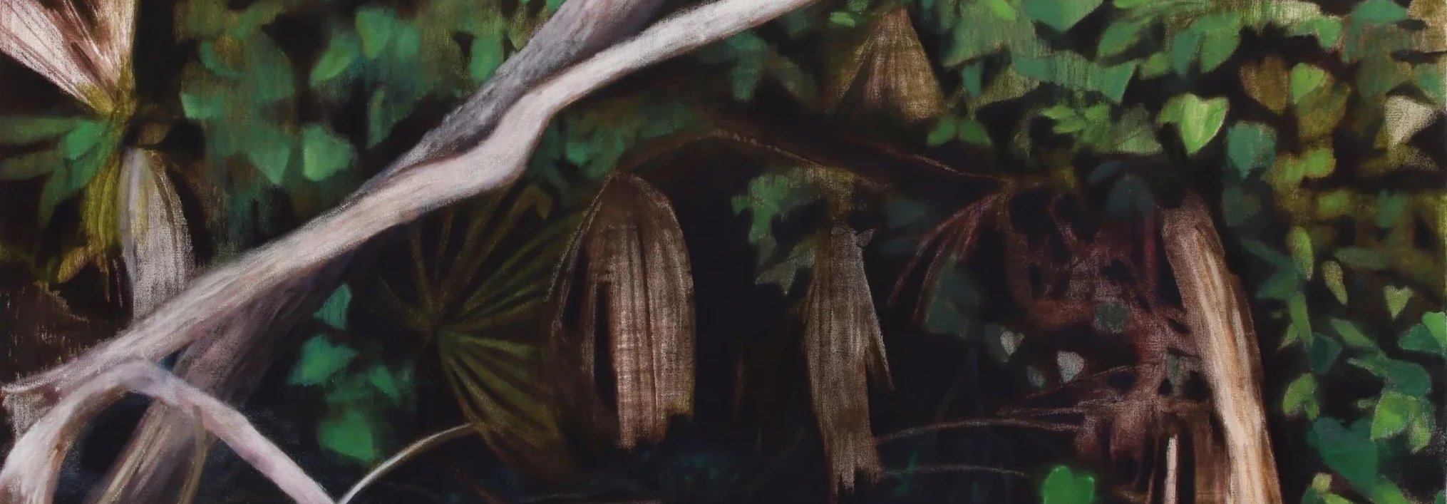 Close-up of forest ground with dry leaves, twigs, and green foliage.