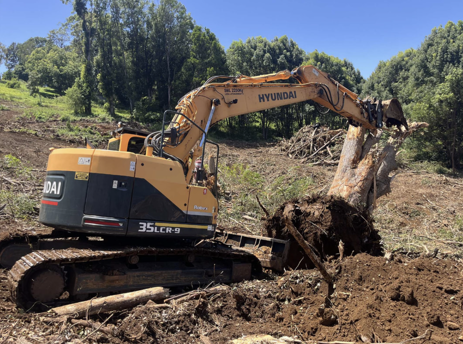 forestry clearing, and stump removal