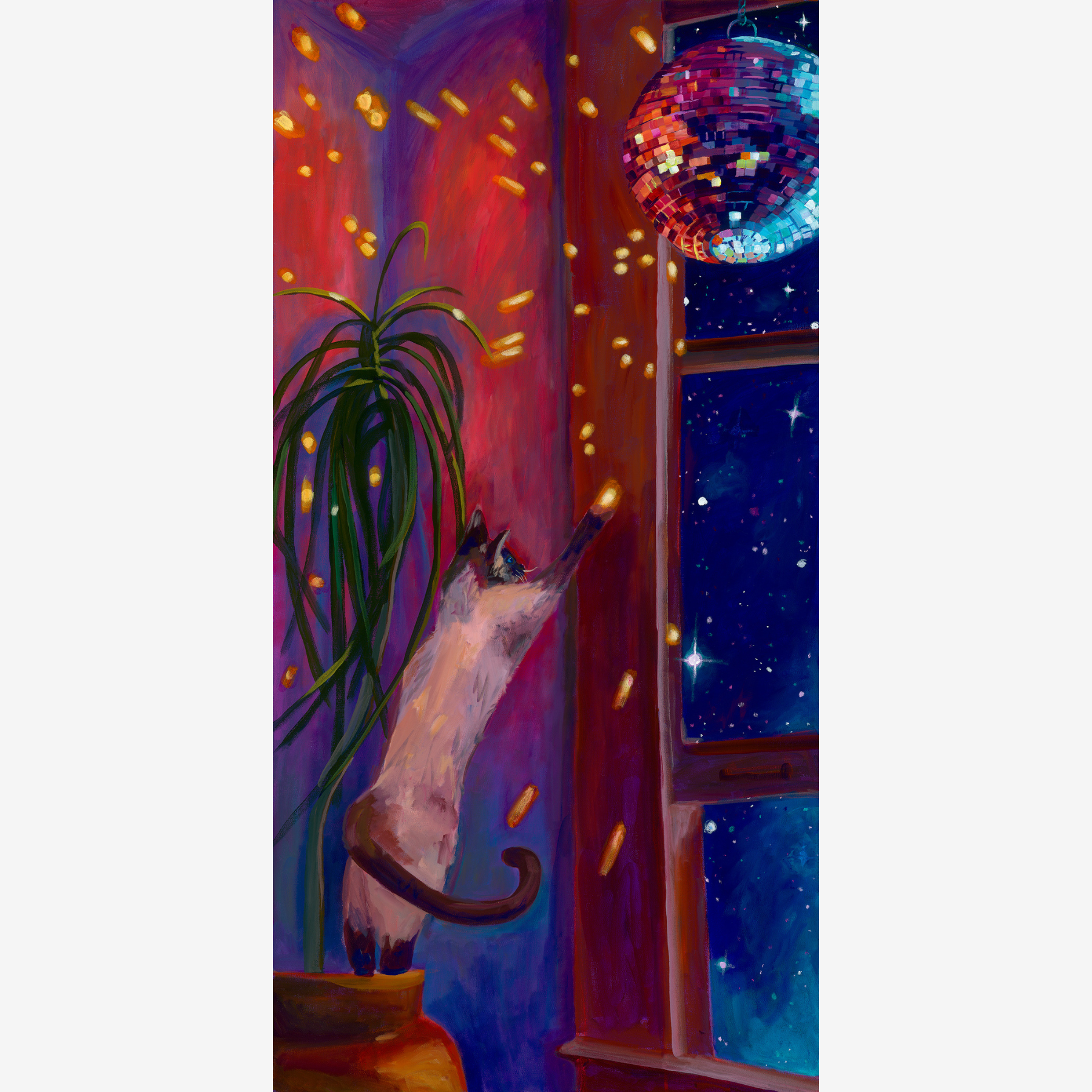dancing lights nighttime.png