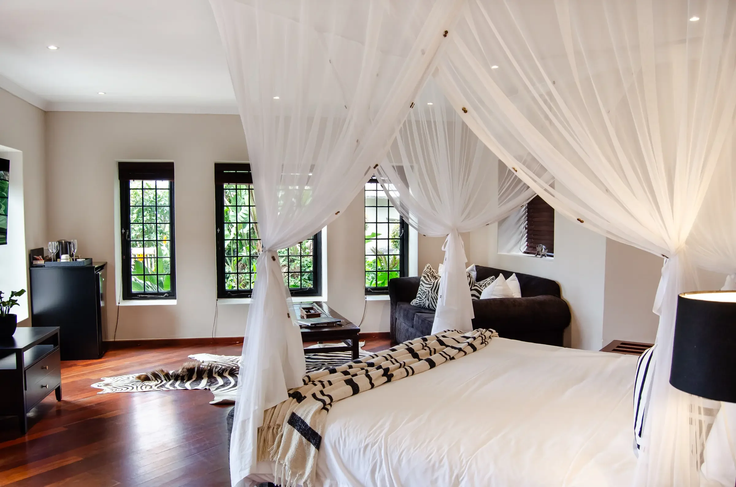 Zebra_DSC_0173.webp